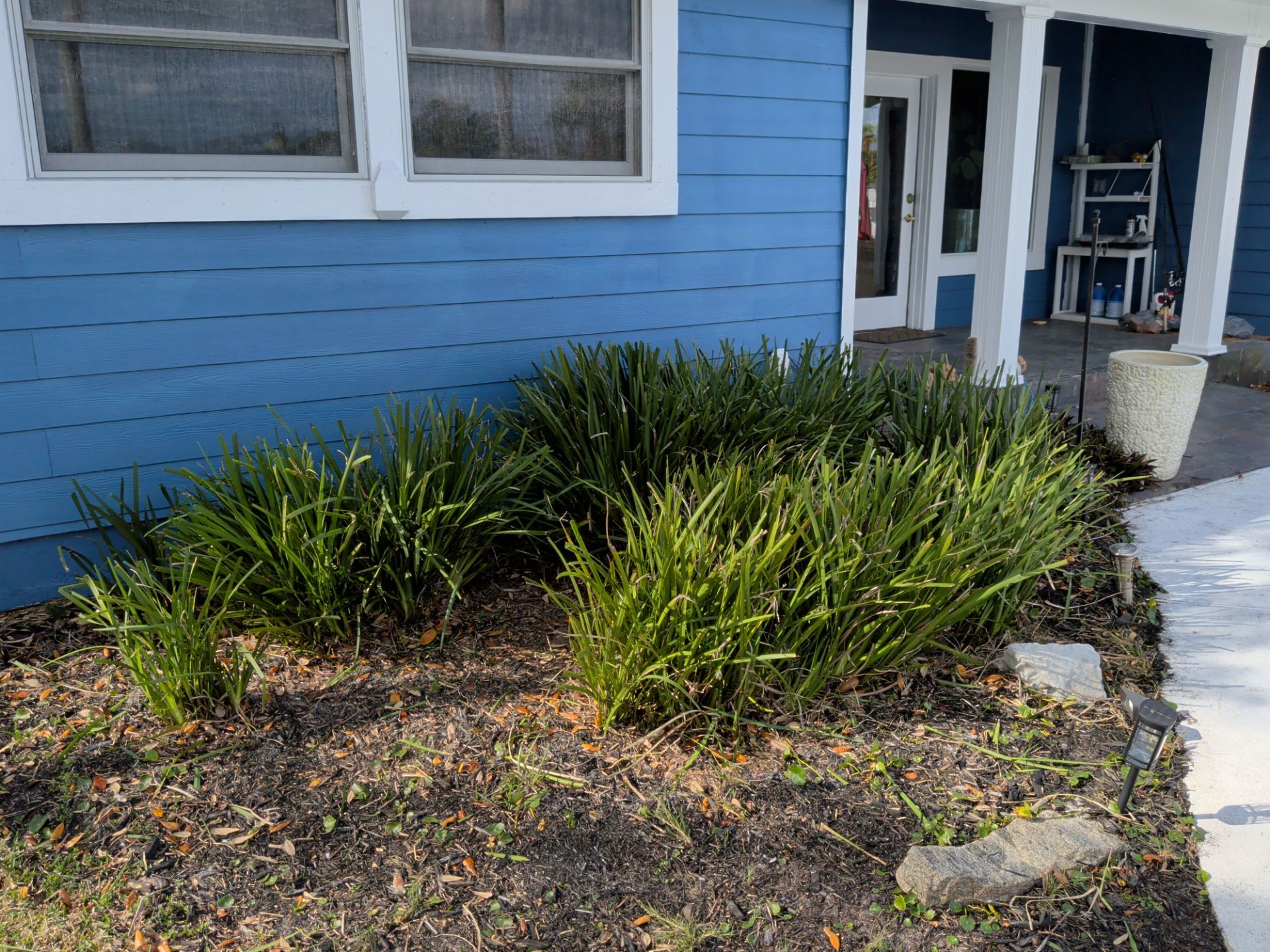 Flower Bed & Property Cleanup San Pablo area — Jacksonville Beaches, FL by Harmoni Home Services