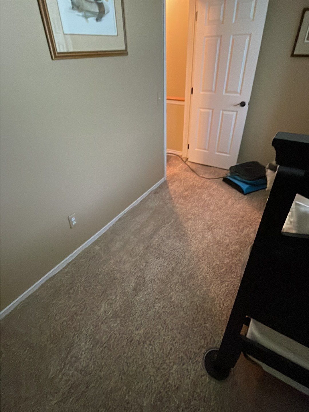 Project in Novi by EzDry Water Mitigation & Property Restoration