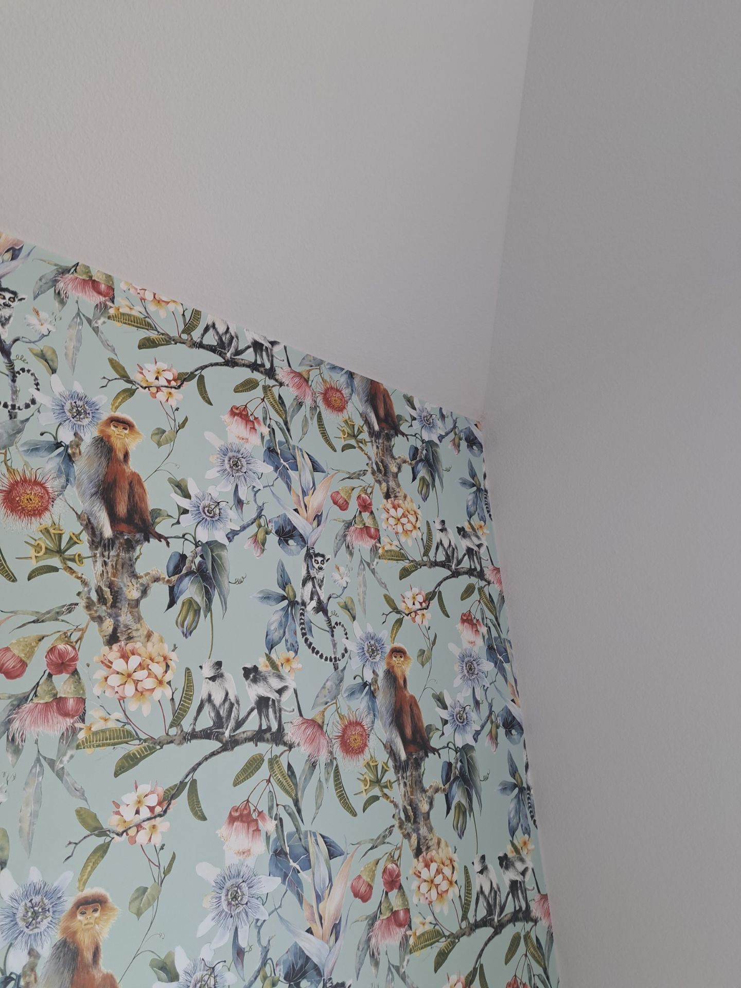 Wallpaper Installation in DFW by Nomad Painting