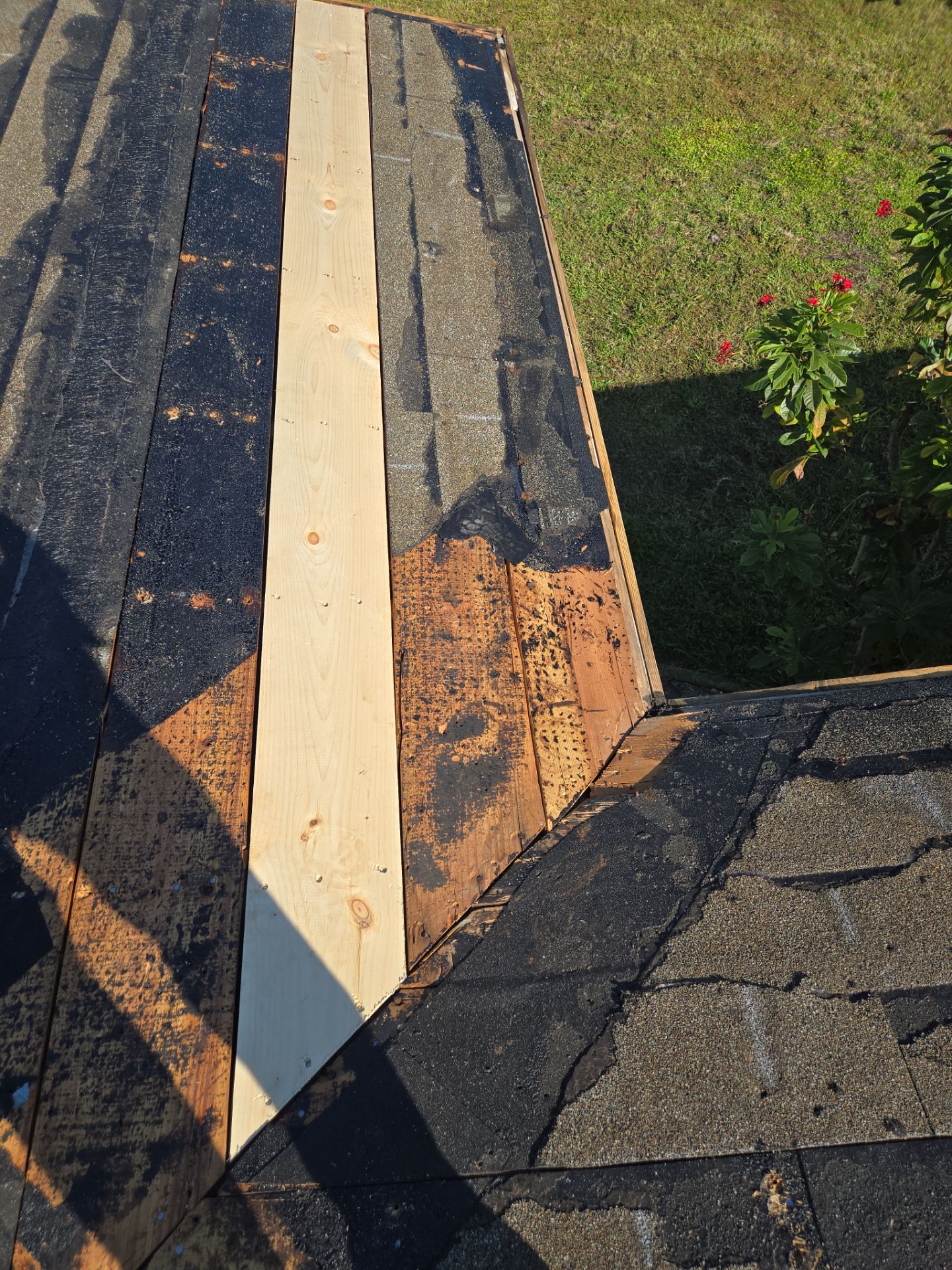 Project in St. Petersburg 33705 by Mitchell Roofing Company LLC 