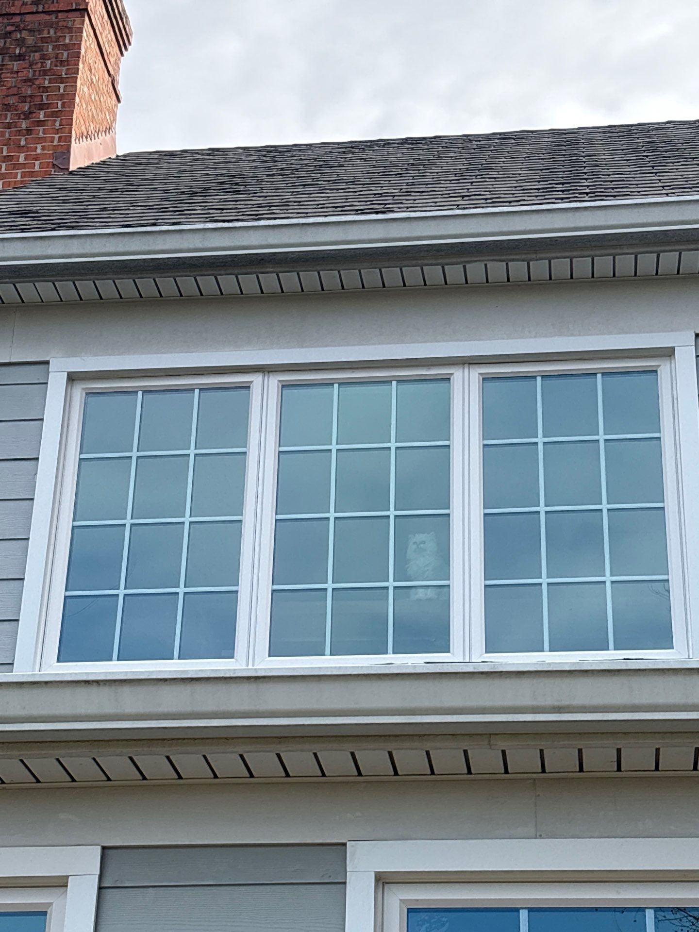 Picture Window by Aspen Home Improvements
