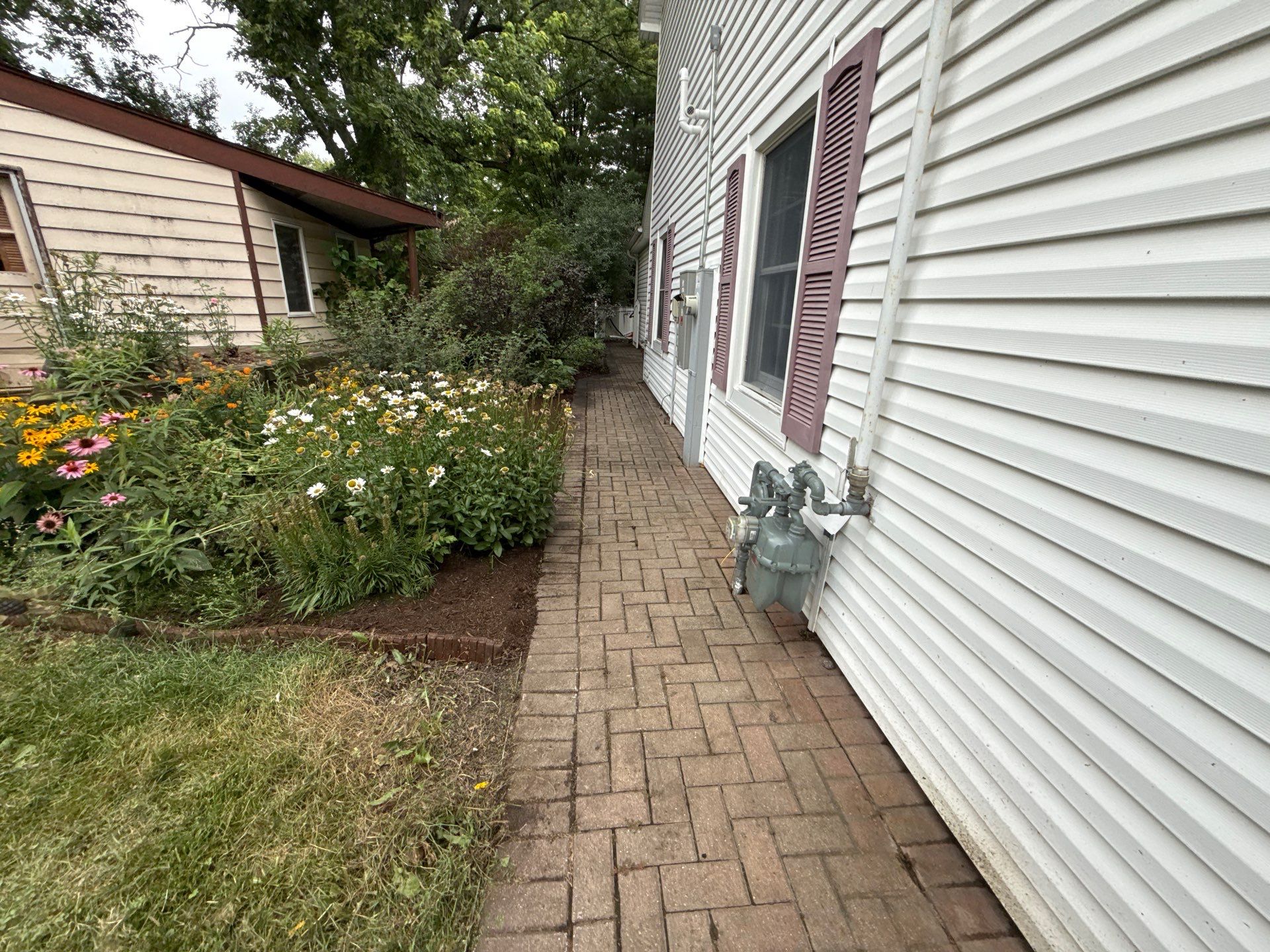 Steven L. - Park Ridge, IL by A&N