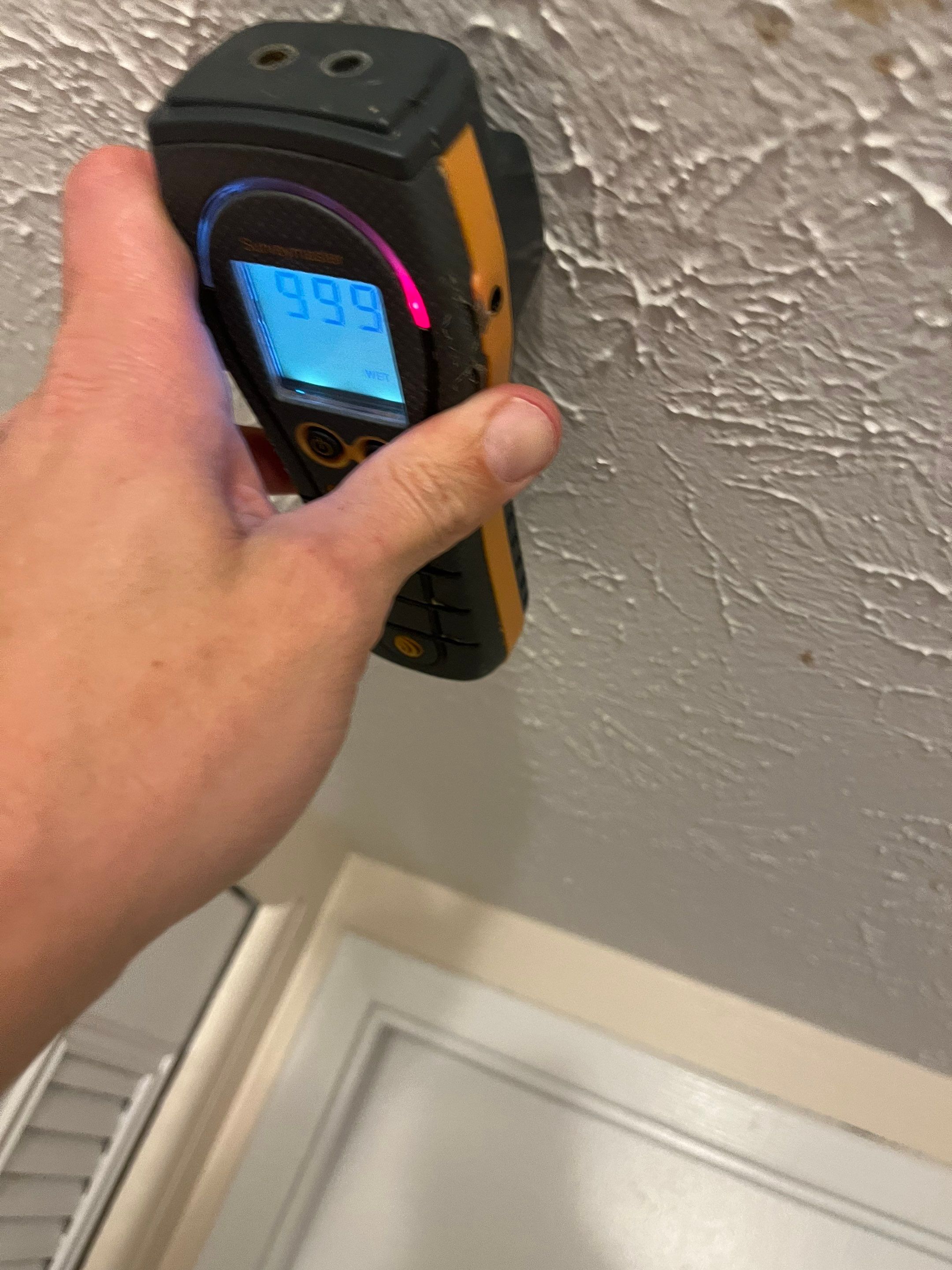 Small Mold Remediation from a past Roof Leak by ANR Restoration