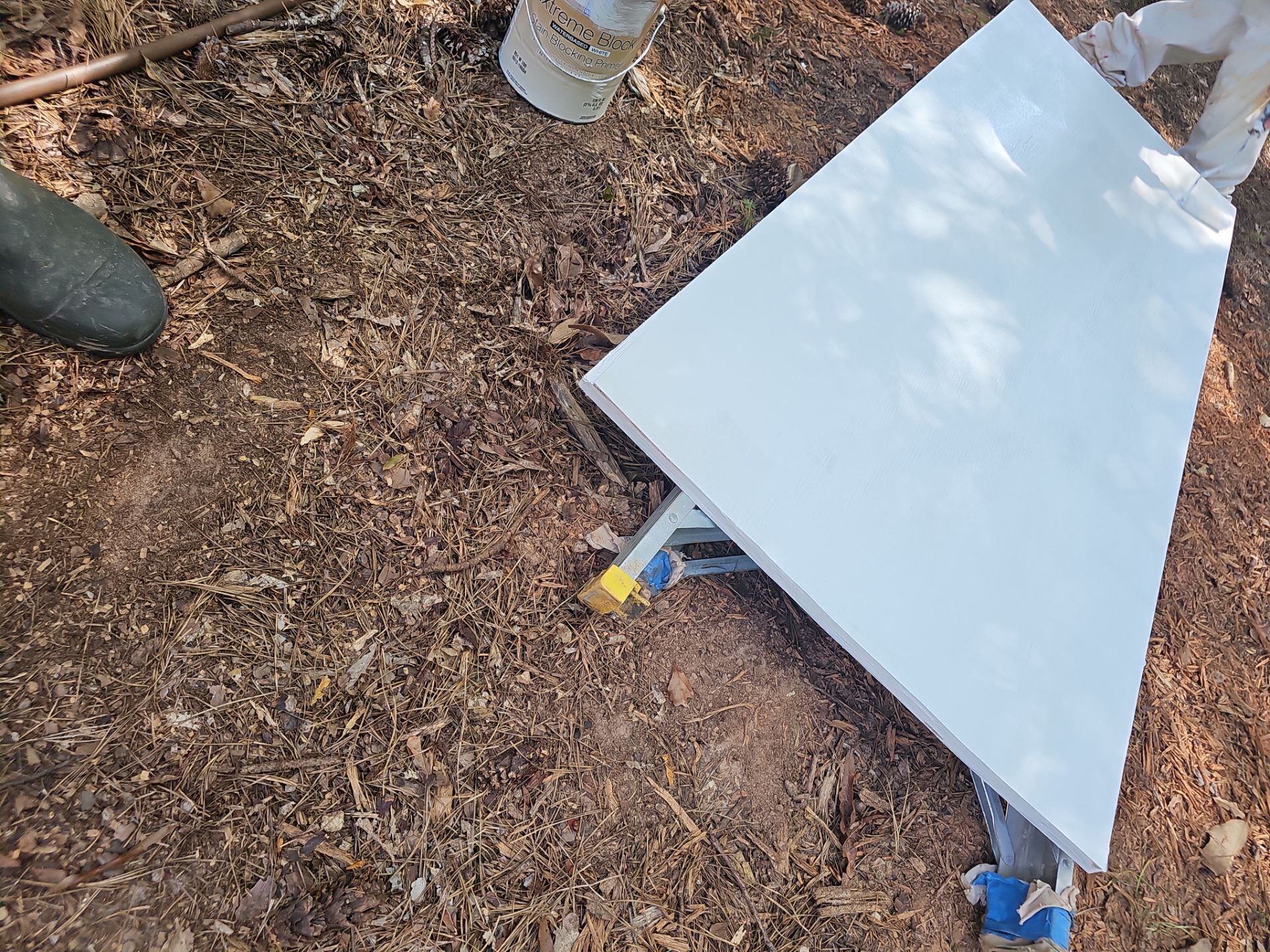 Exterior Transformation in Jonhs Creek by Atlanta's Paint Doctor