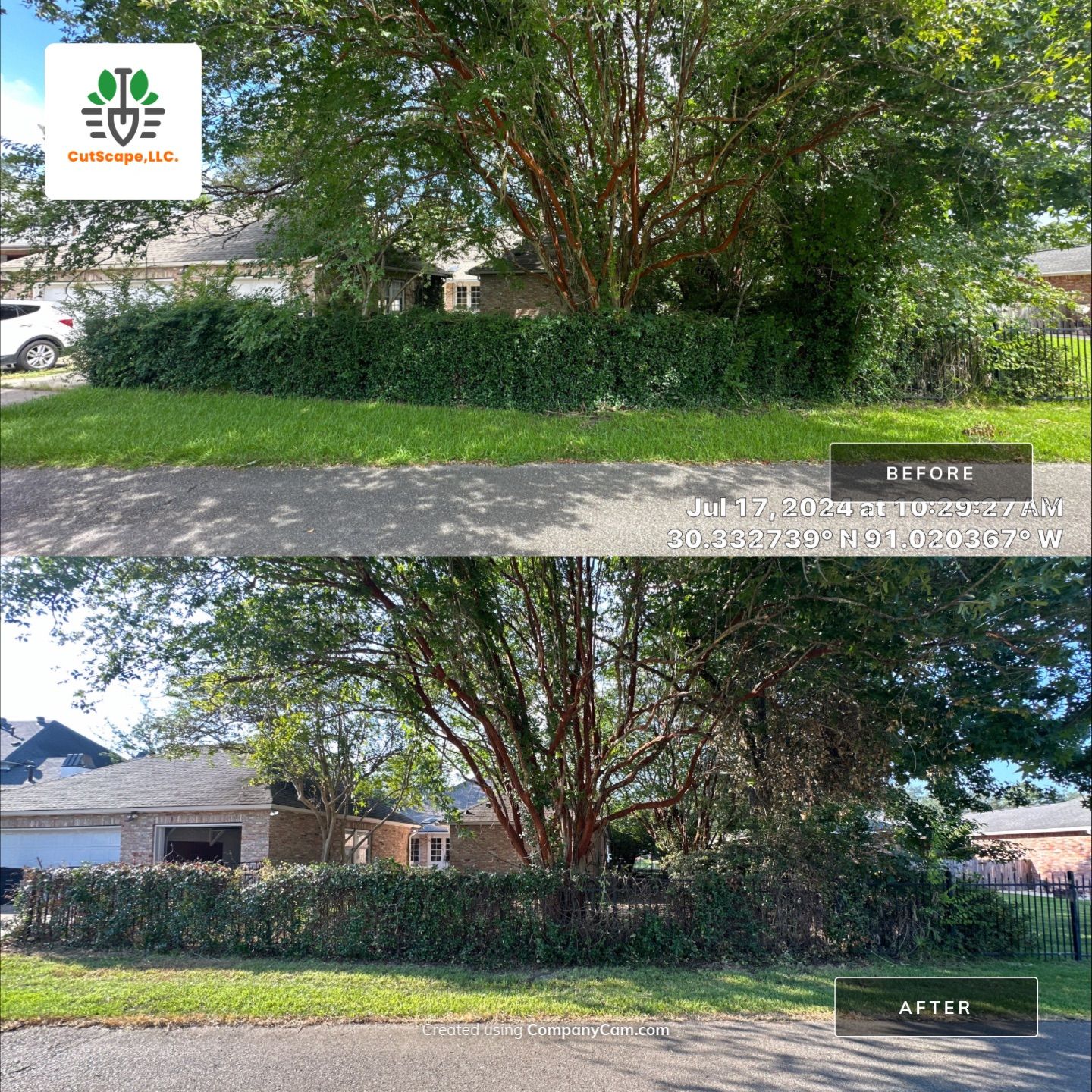 HERBICIDE / CLEAN OUT / TRIM / BRUSH DEBRIS REMOVAL by CutScape, LLC.