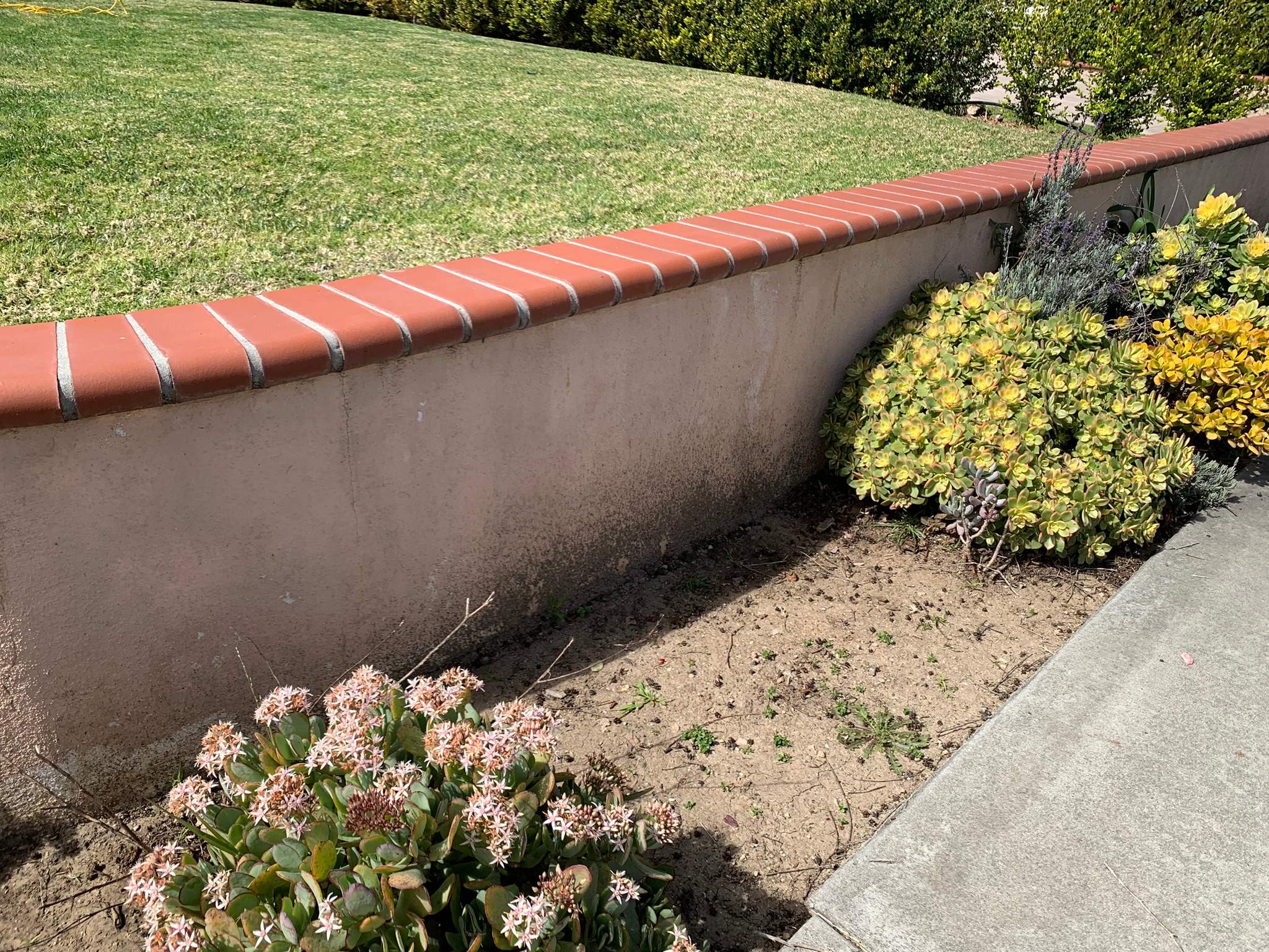 Pressure Wash using Sodium Hypochlorite and Solar Panel Cleaning in Huntington Beach by Property Cleaning Experts, LLC