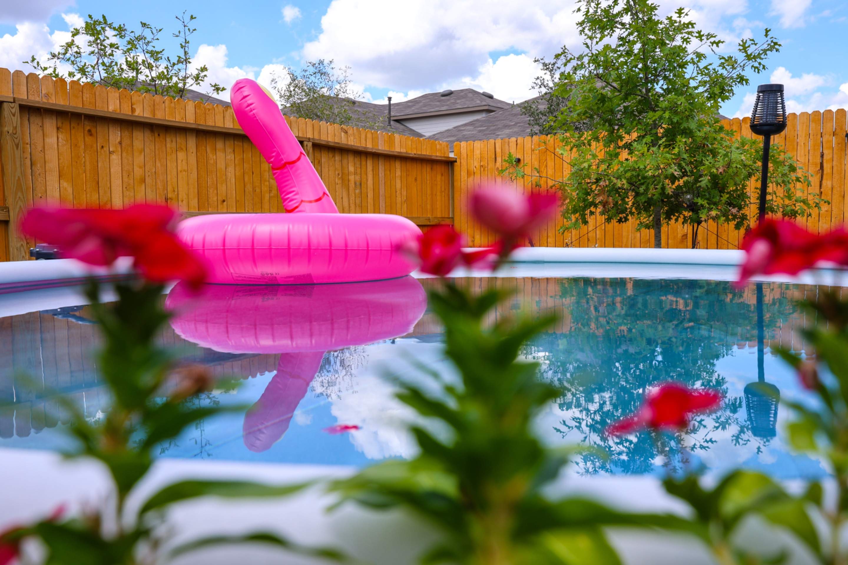 Langdon - San Antonio, TX by Hole In One Lawns, LLC