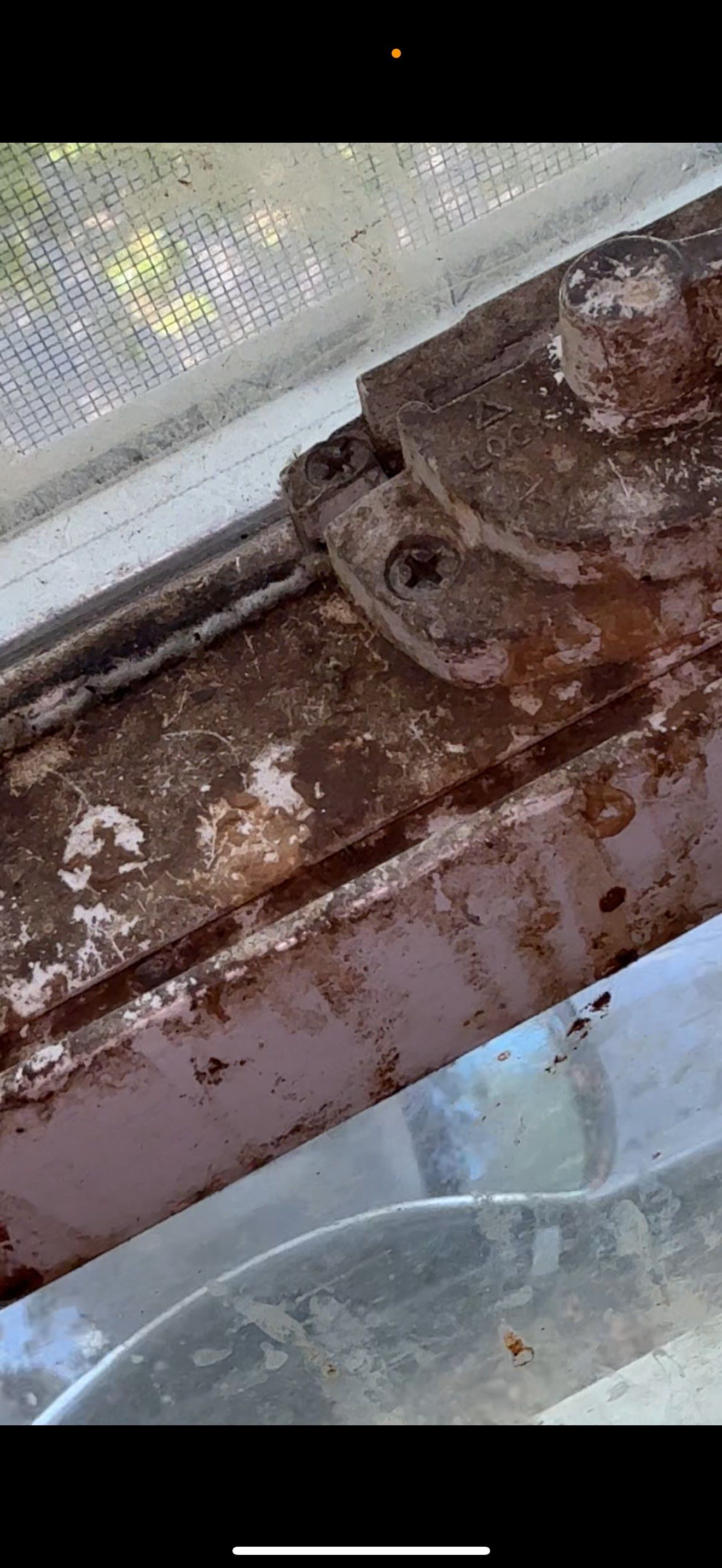 BIOHAZARD PIGEON FECES by Sadie’s Pro Cleaning