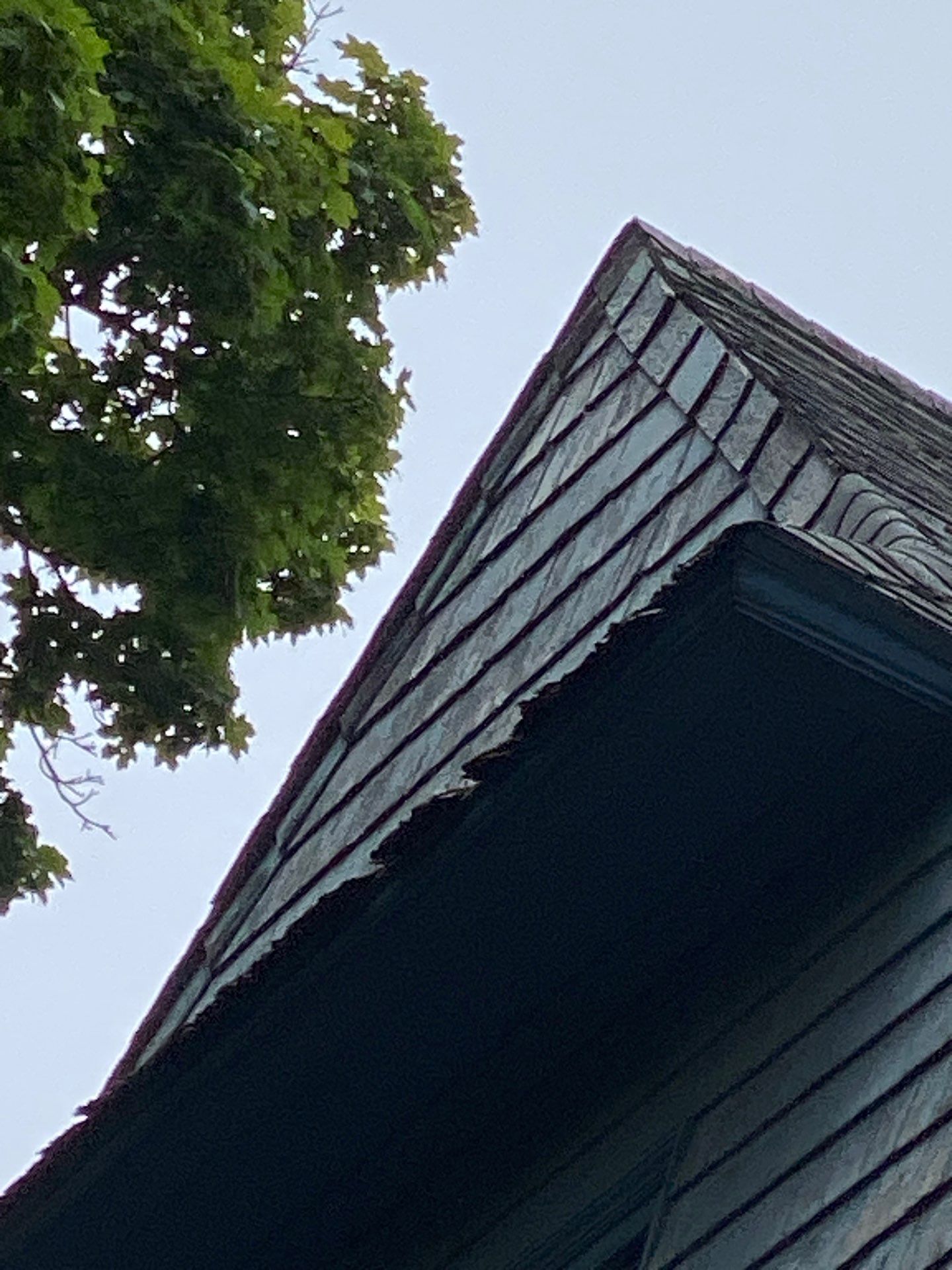 Transformation with CertainTeed Cedar Siding | Methuen by Mighty Dog Roofing of Greater Middlesex County