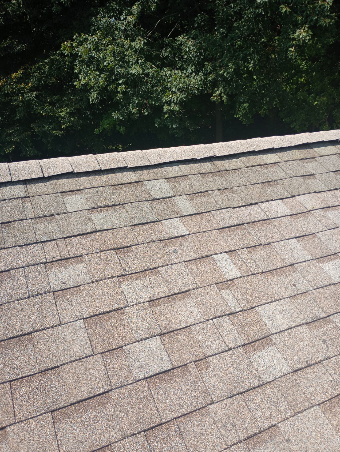 Jen Madaffer by Silver Leaf Contracting 