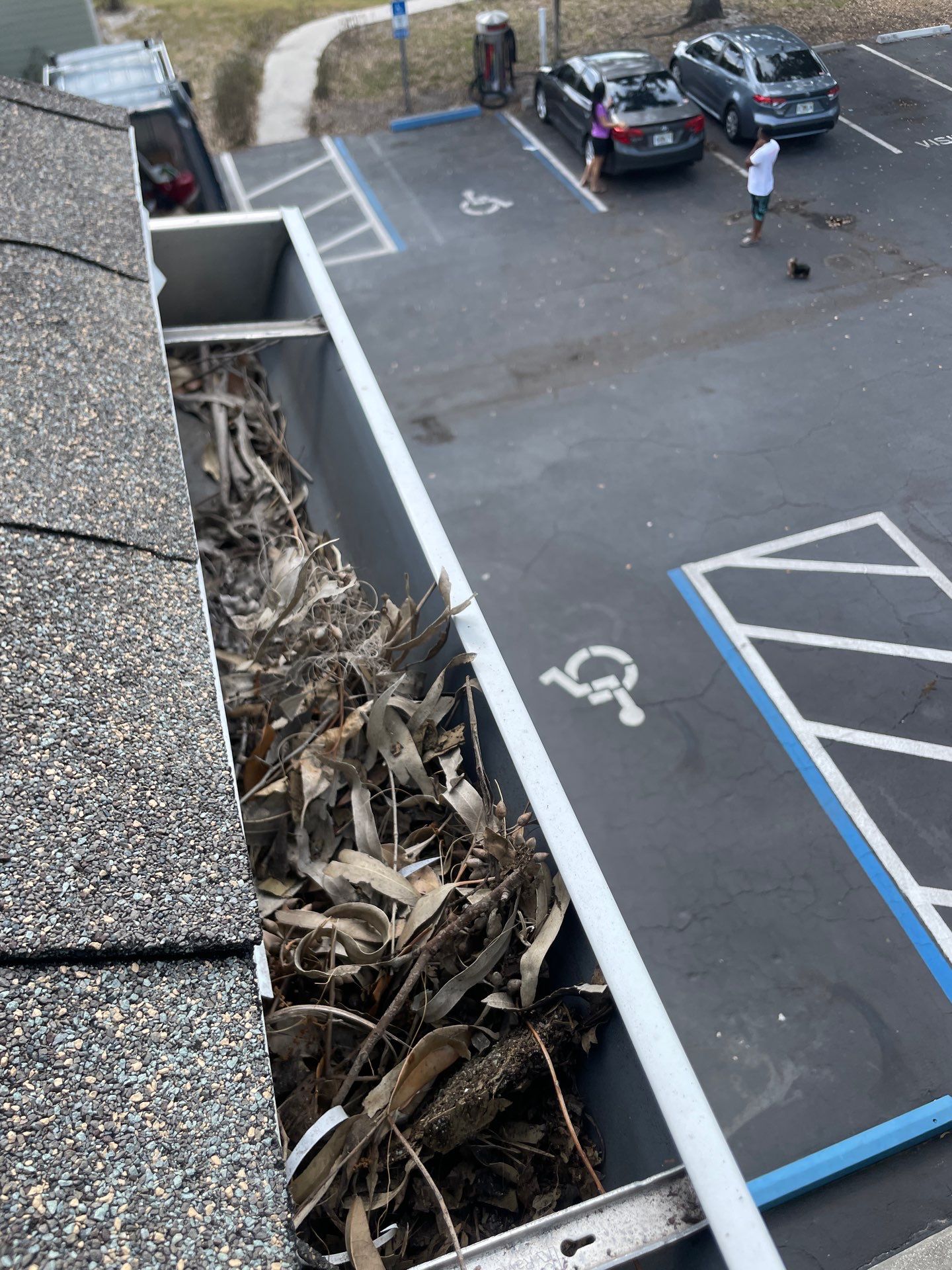 Commercial gutter cleaning Georgia before photo with filled gutters