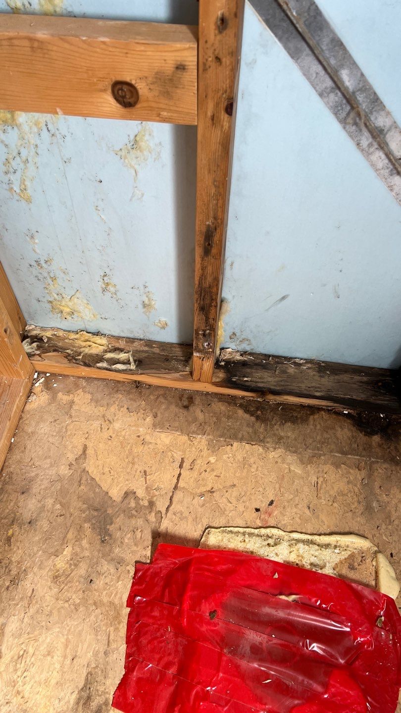 Water Damage and Mold Remediation by Accountable Home Services