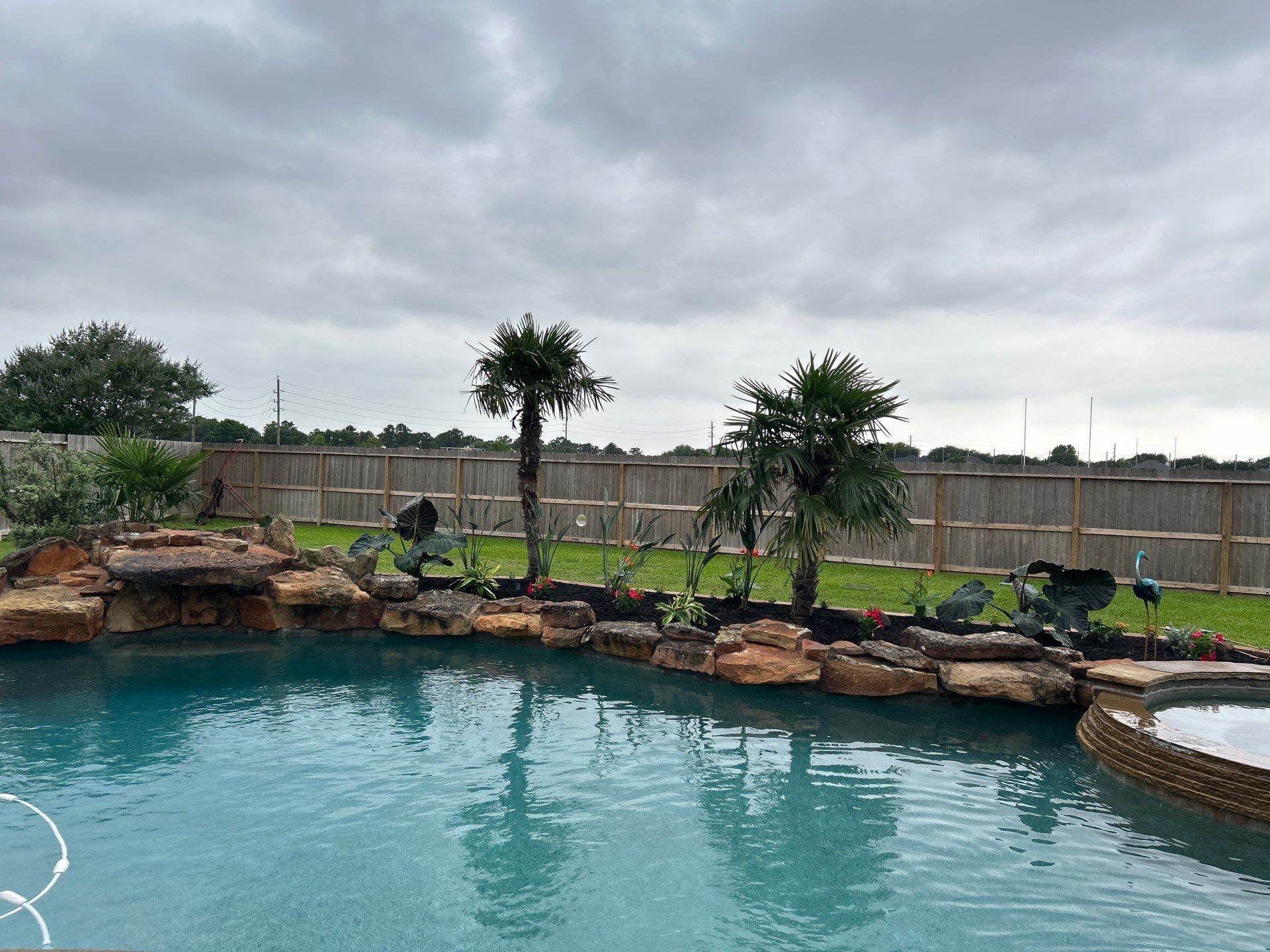 🌿 Larry Caudillo’s Poolside Landscape Revamp by Texas Urban Elements