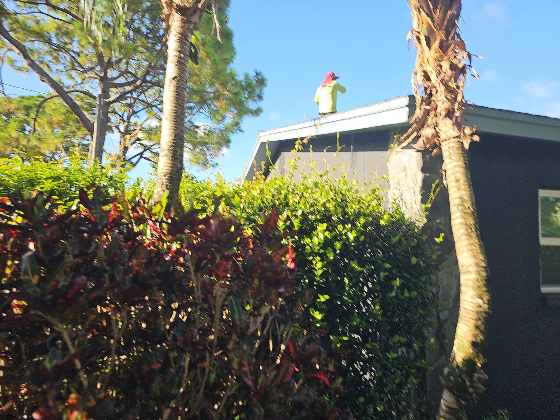 Project in St. Petersburg 33712 by Mitchell Roofing Company LLC 