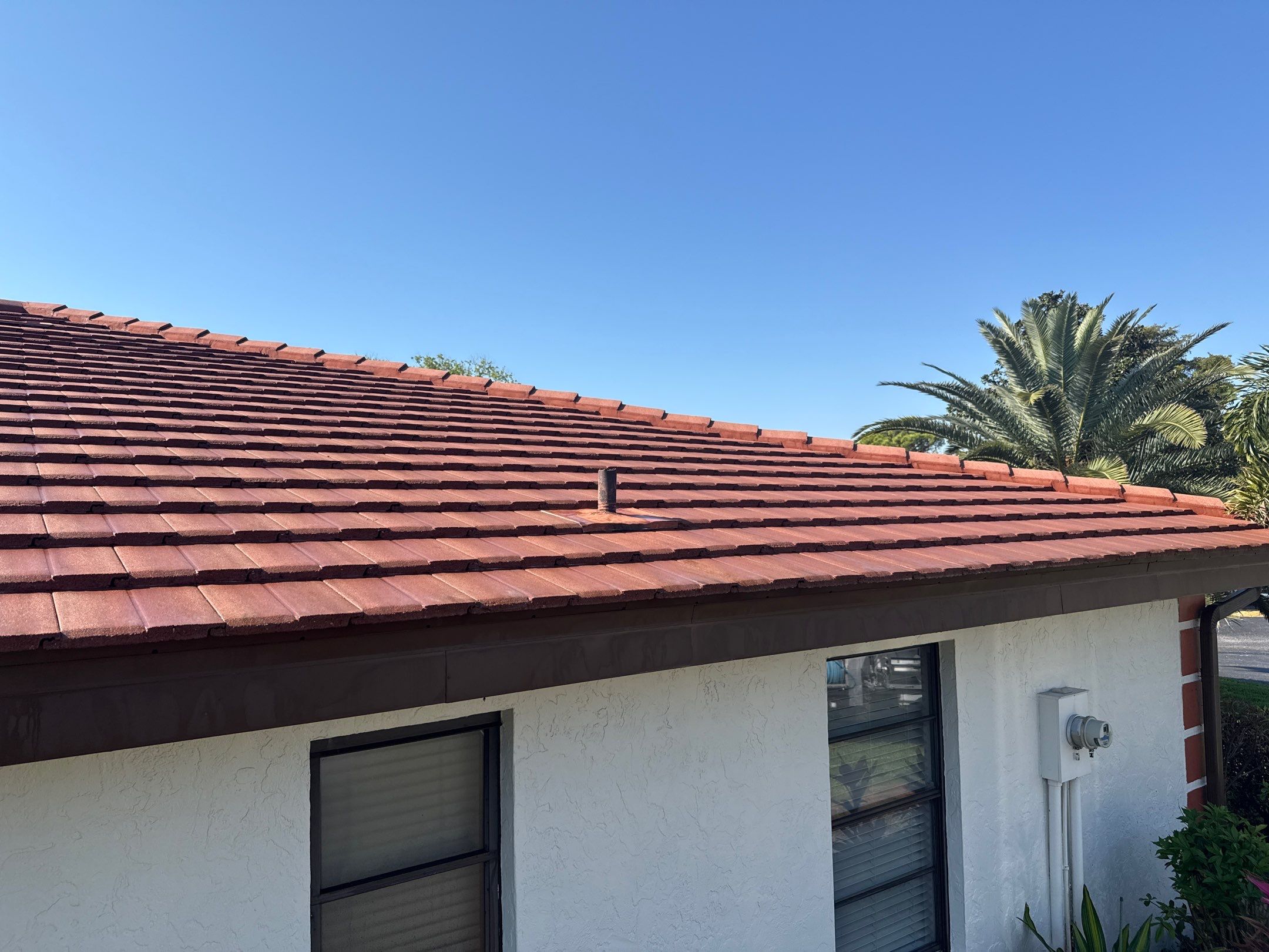 Tile Roof Cleaning – Vivenda at Bradenton I (5-Star Review & Plant Protection) by Sunshine AquaWash