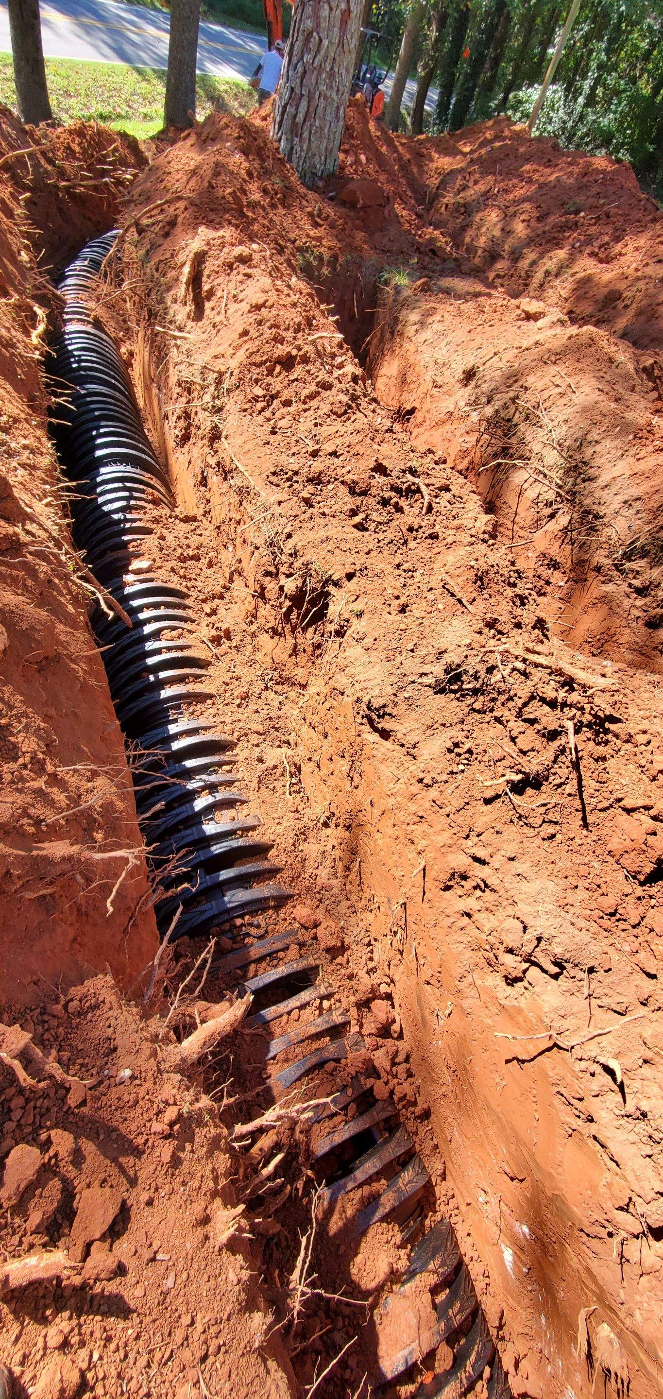 Ellenwood Remodel by Ajayi Design and Construction