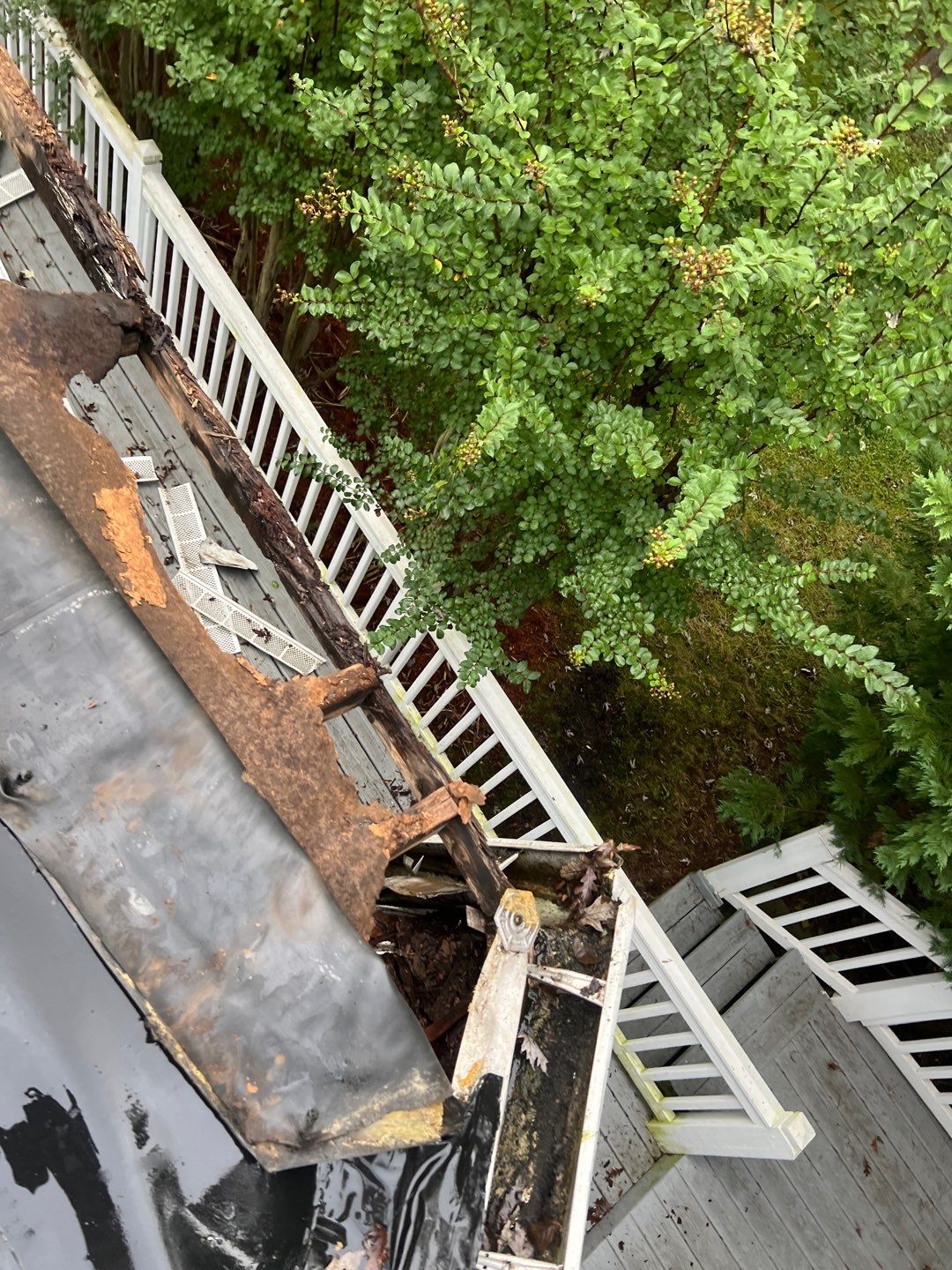 Alexandria: Residential Flat Roof Replacement with MuleHide TPO by RM Banning, Inc.