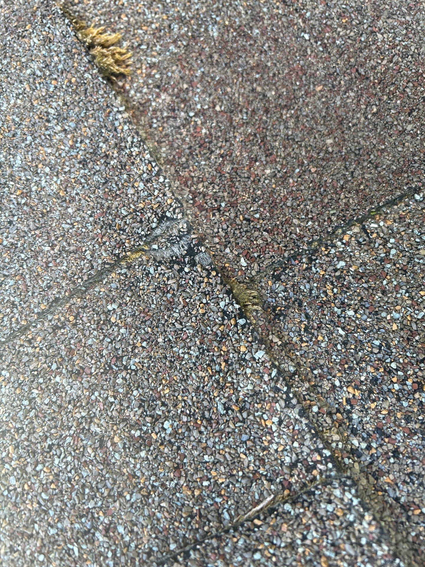 Project in Mount Vernon by Connolly Construction Company