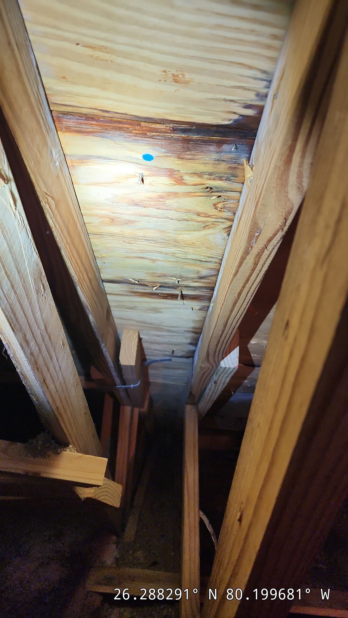 Concrete Tile Roof Repair in Coconut Creek β Reliable & Long-Lasting Solutions by Aastro Roofing