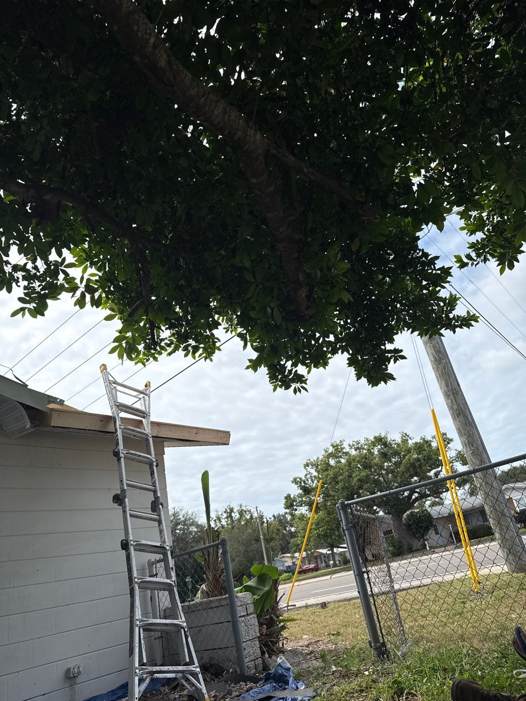 Project in Seminole 33772 by Mitchell Roofing Company LLC 