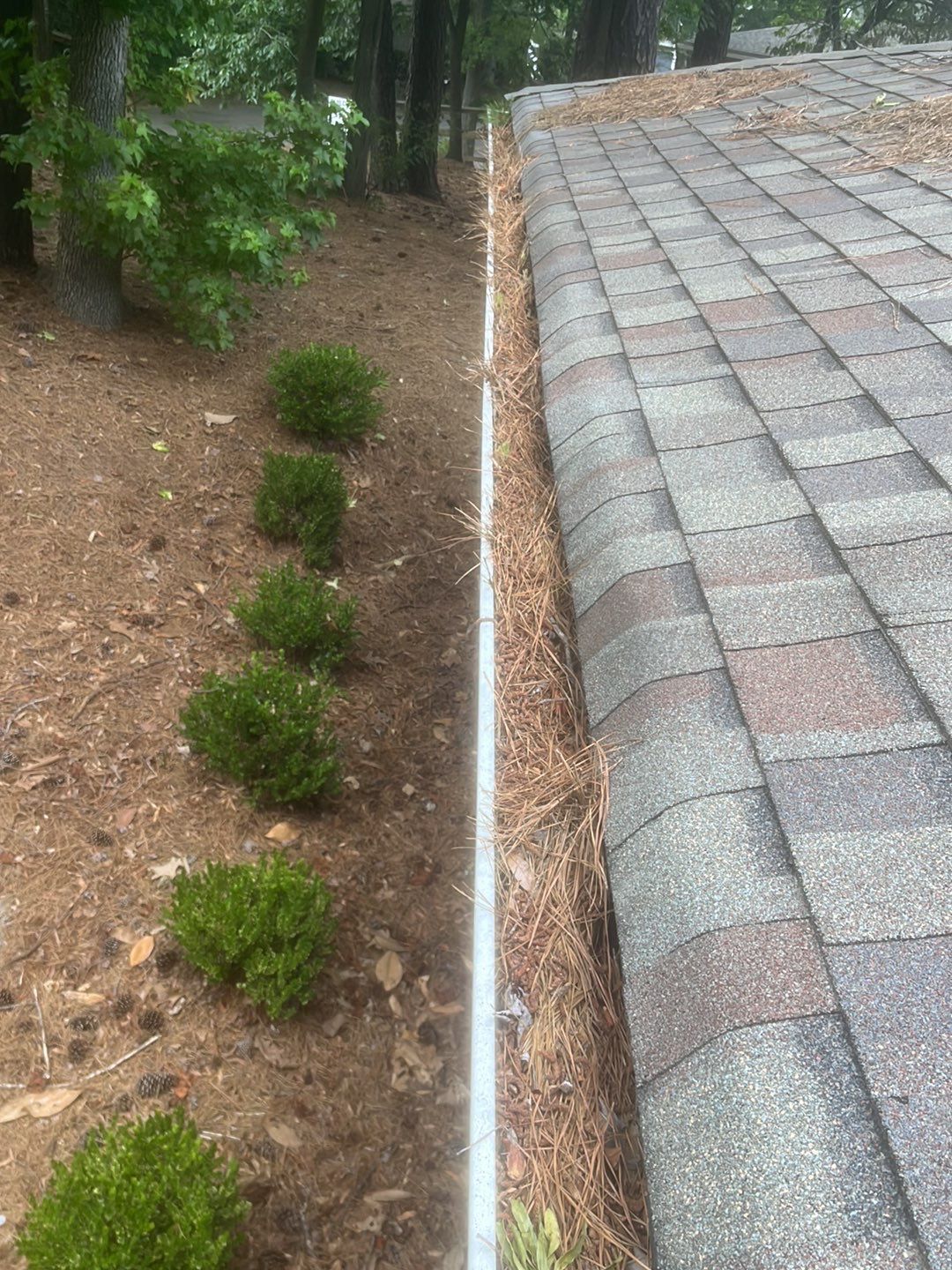 Commercial gutter cleaning Holly Springs & Fuquay-Varina, NC before photo with filled gutters