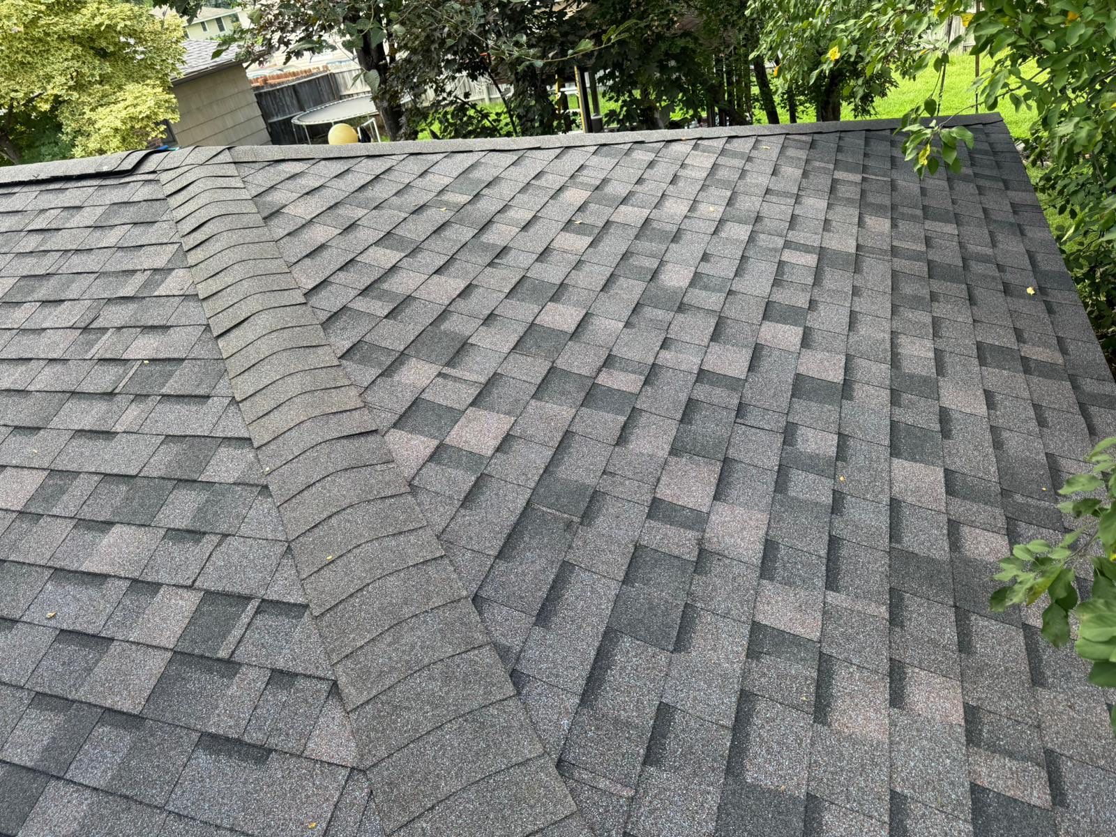 OC Duration Designer AR - Midnight Plum by Forever Fortified