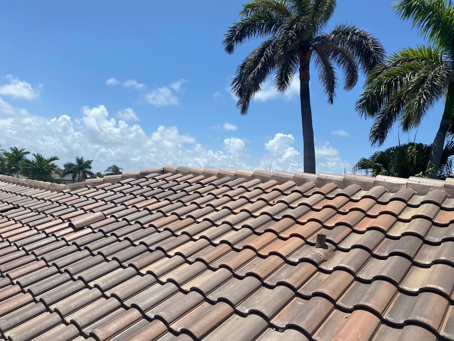 Residential Roofing Installation using Eagle Roofing Tile by BLUES BROTHERS ROOFING