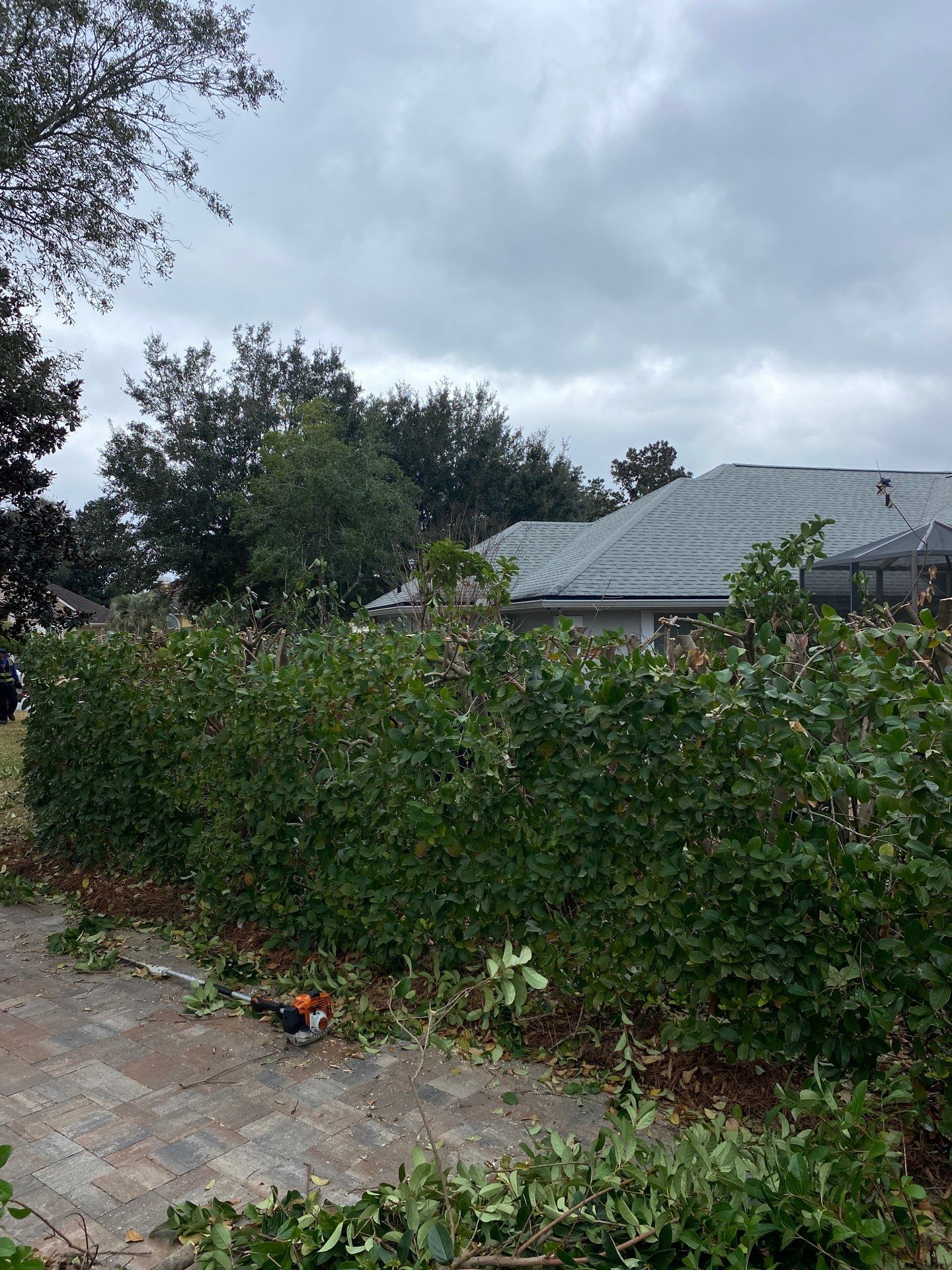Residential | Hedge Trimming by ProGreen Services