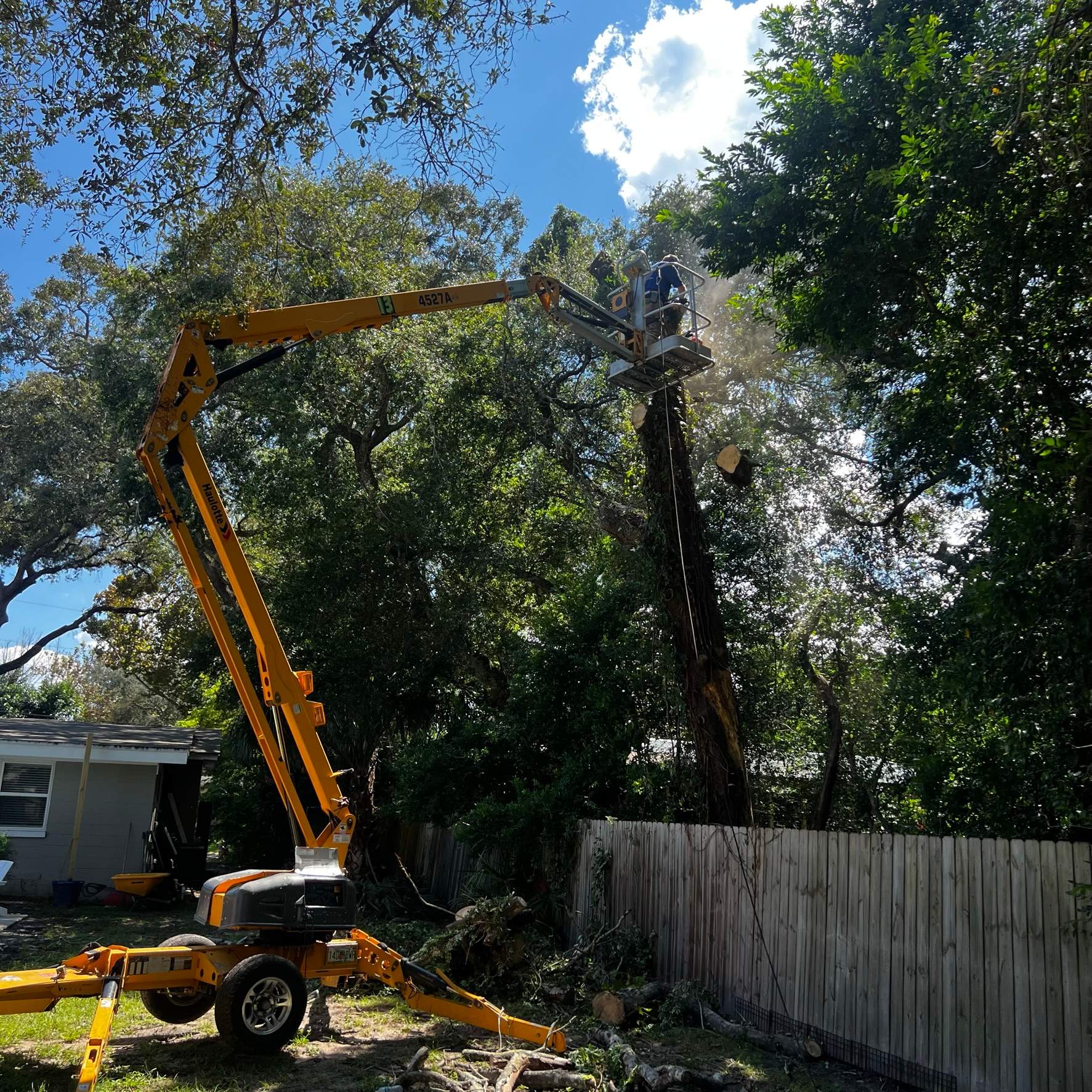 Tree Removal | Residential by ProGreen Services