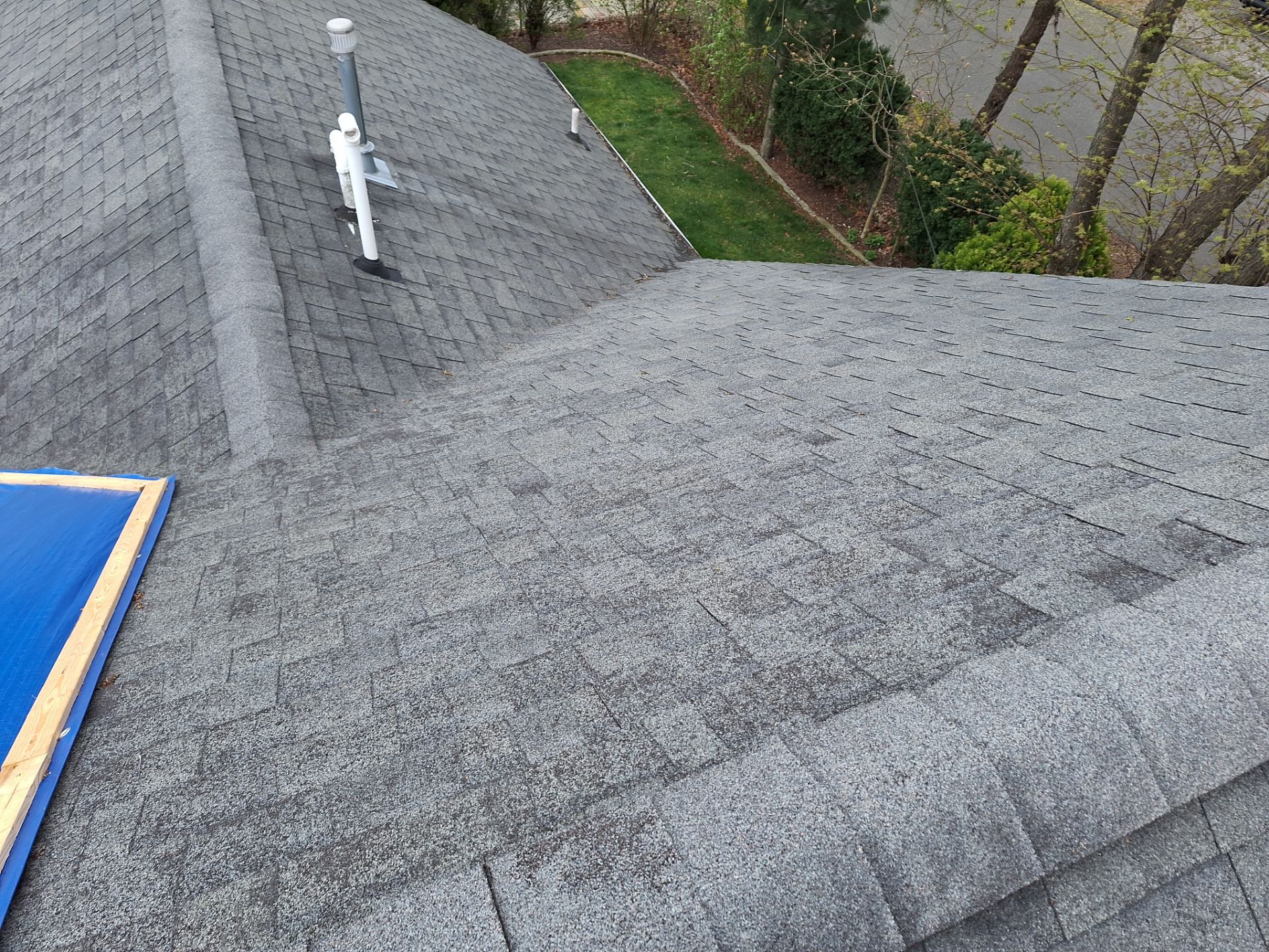 Silver Birch Shingles by Reimagine Roofing