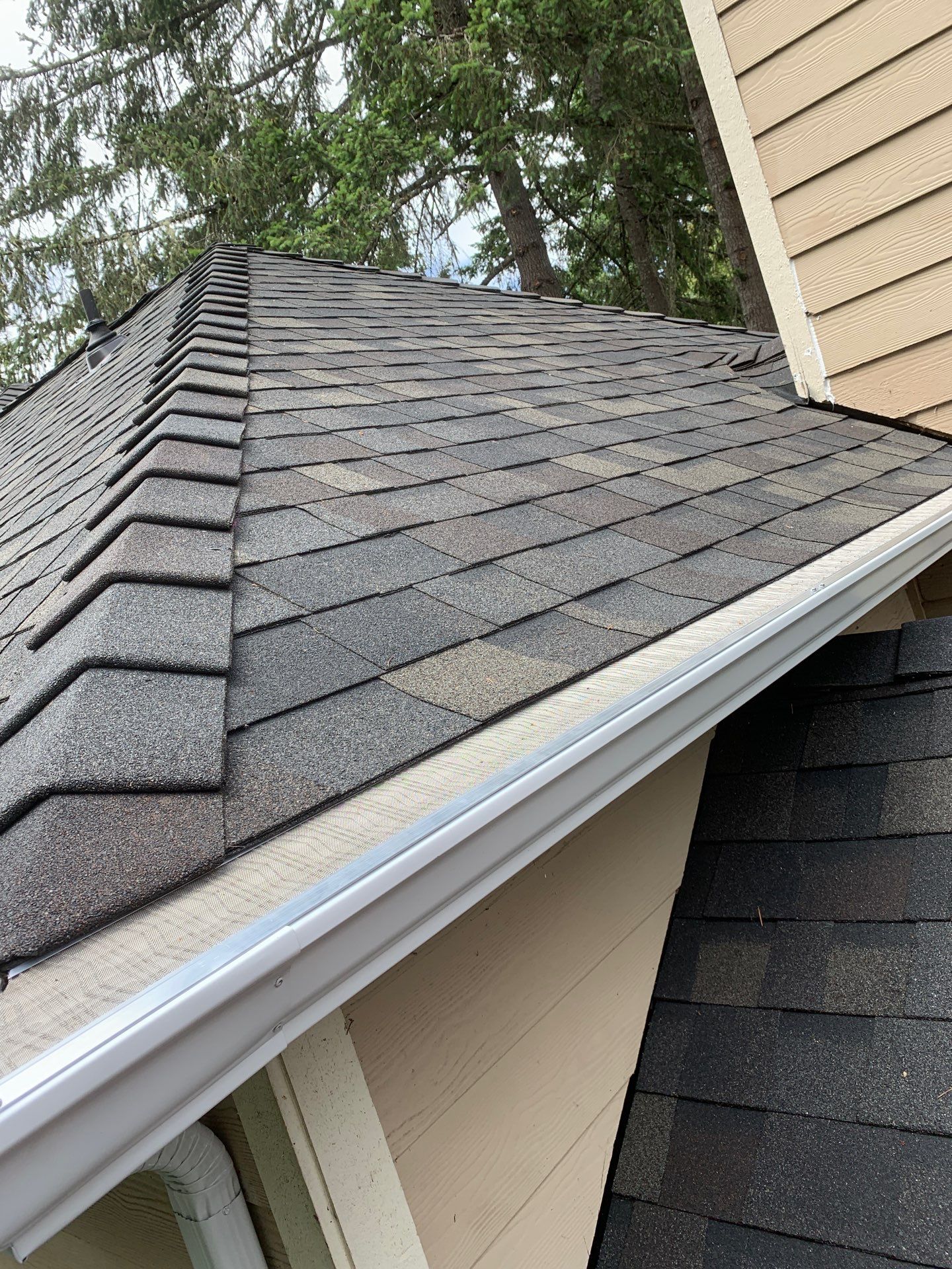 Eugene Residential Reroof Featuring Architectural Shingles and Micro-Mesh Gutter Guards by BEST Roofing & Waterproofing