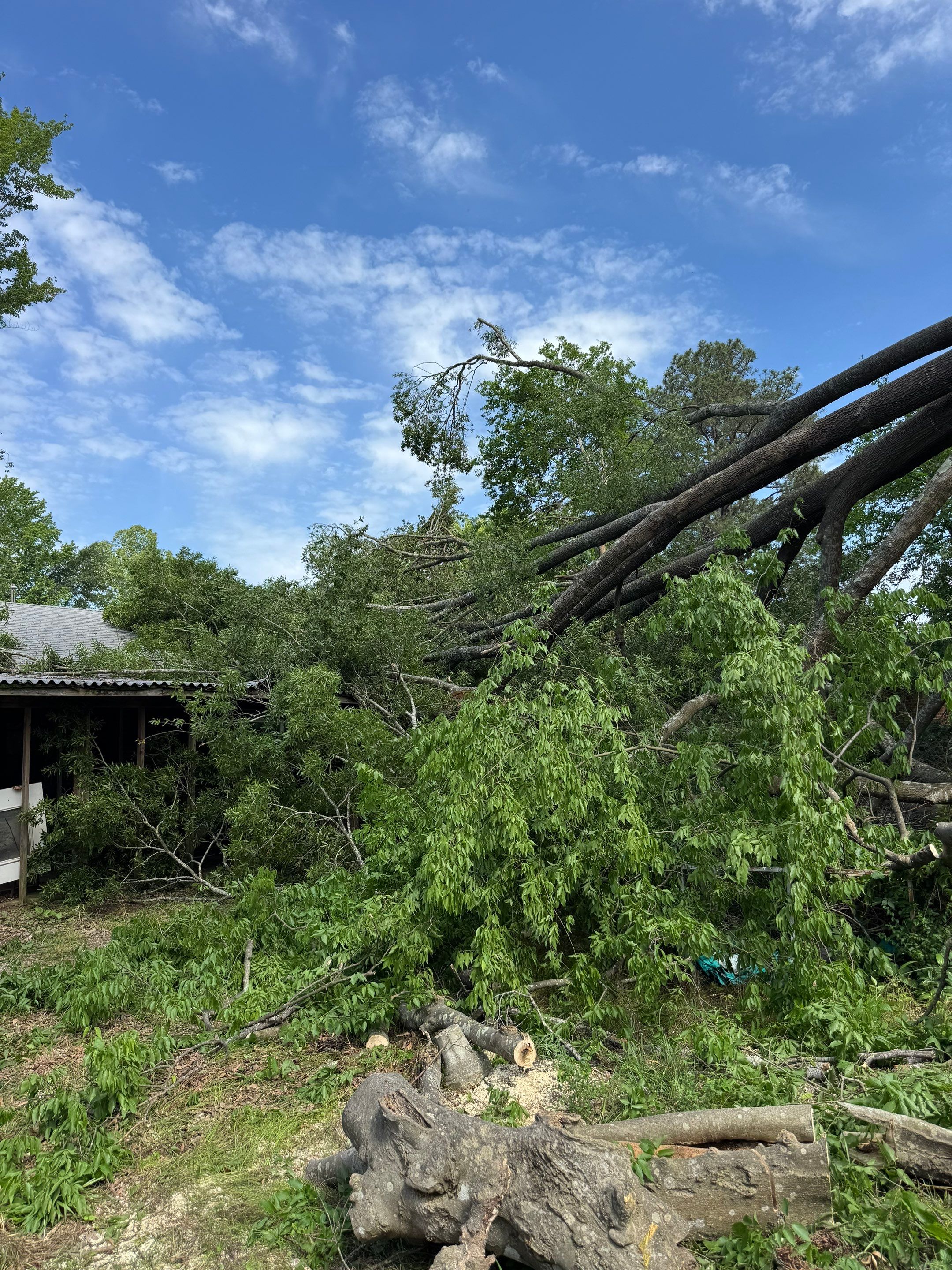 Disaster Relief Using 100-Ton Crane and DinoLift by American Arbor