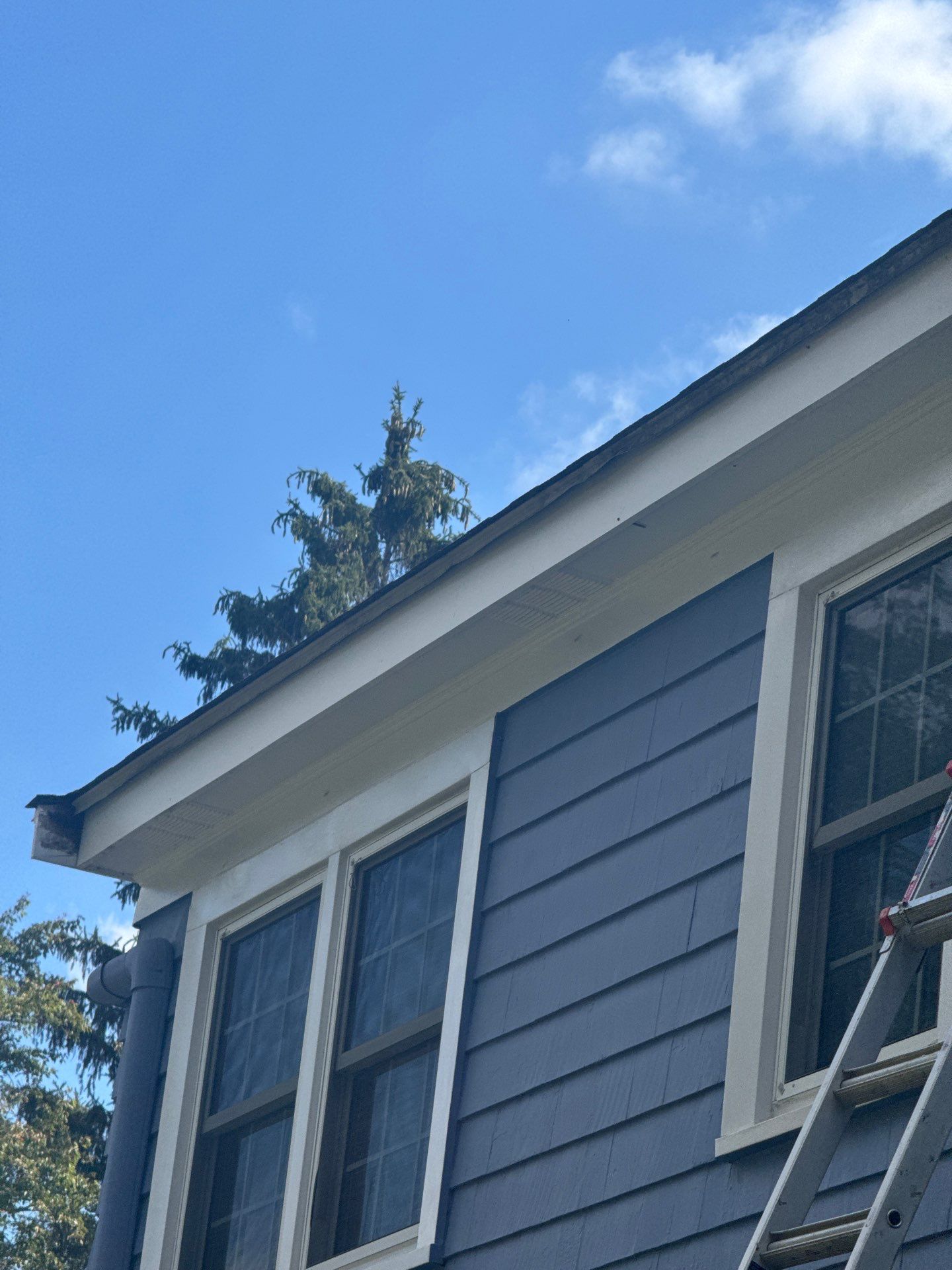 Gutter & Fascia Replacement in Concord, MA by Mighty Dog Roofing of Greater Middlesex County