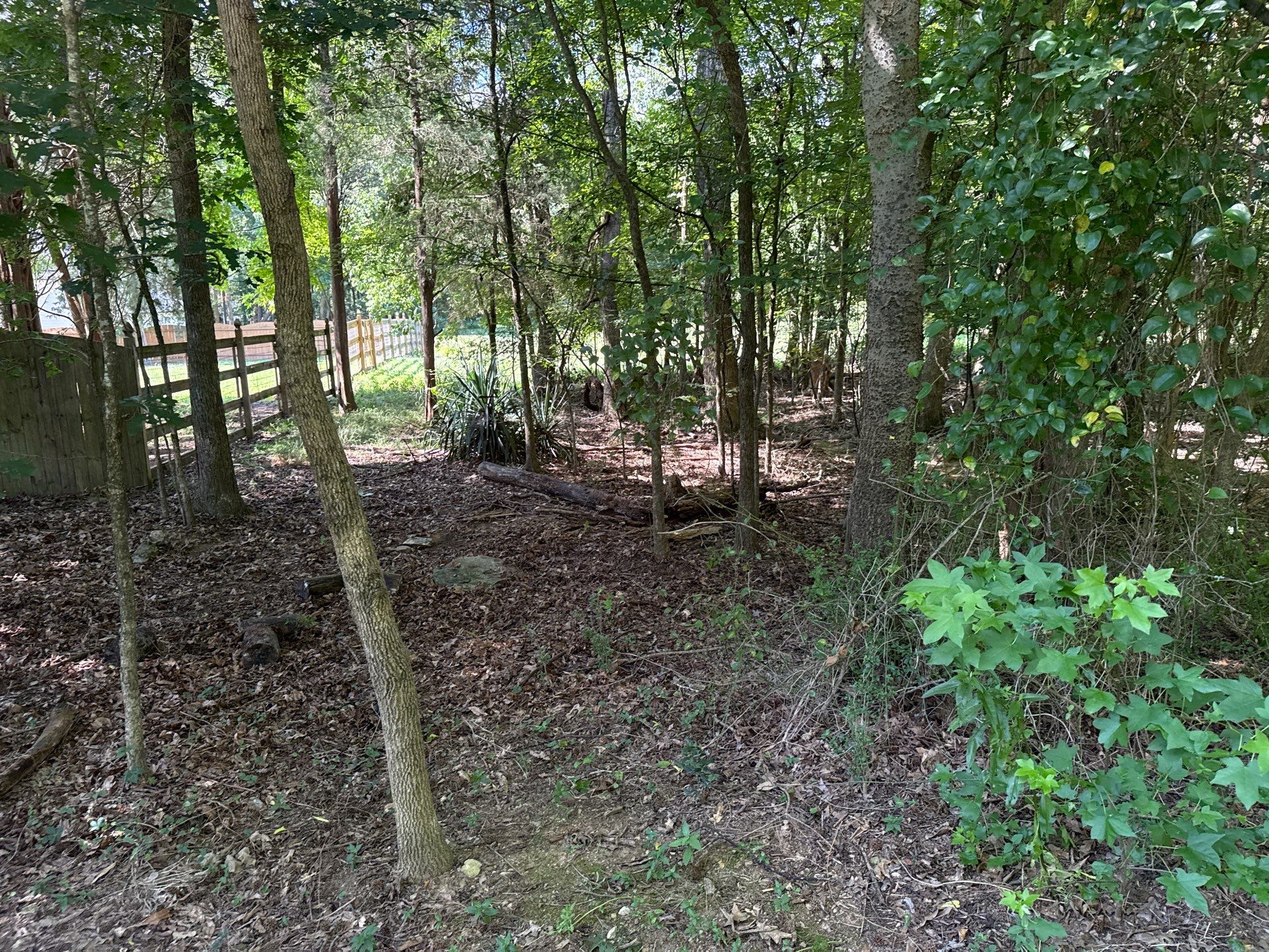 Project in Mint Hill by Badger Hauling