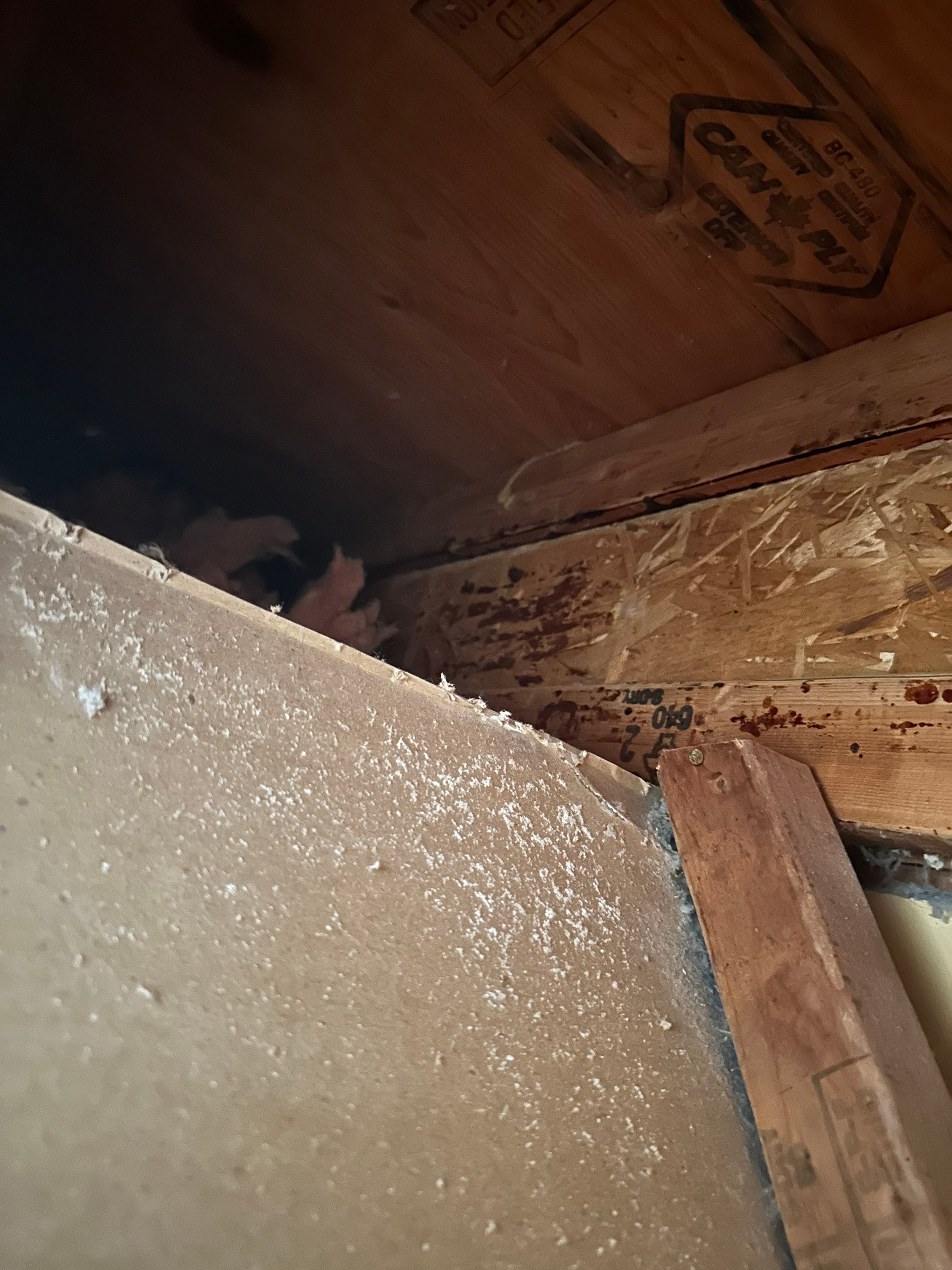 Dryer Vent Replacement by TMS Services