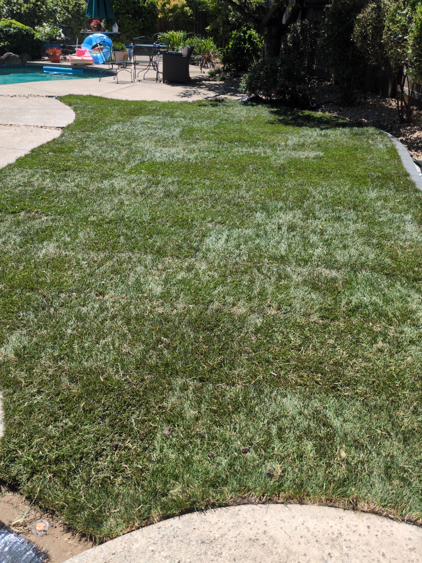 Project in West Sacramento by A - G Sod Farms