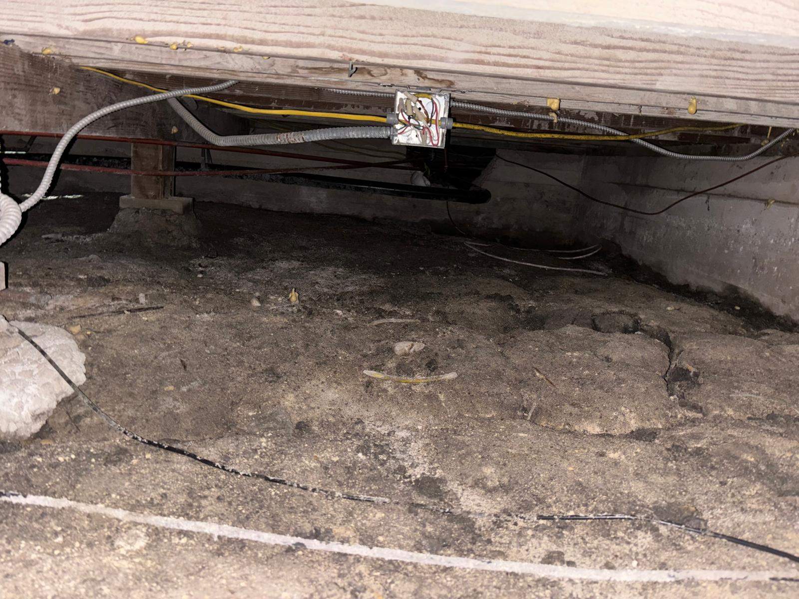 Project in Venice by Insulation Labs