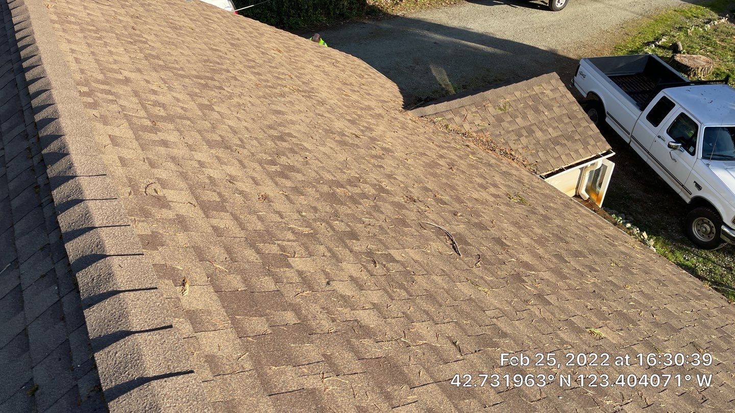 Silver Birch Shingles by Reimagine Roofing