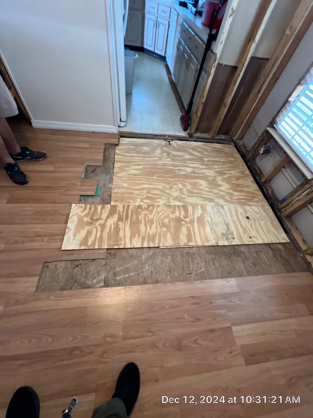 Mold Remediation Palmetto by Ampm Restoration Services 