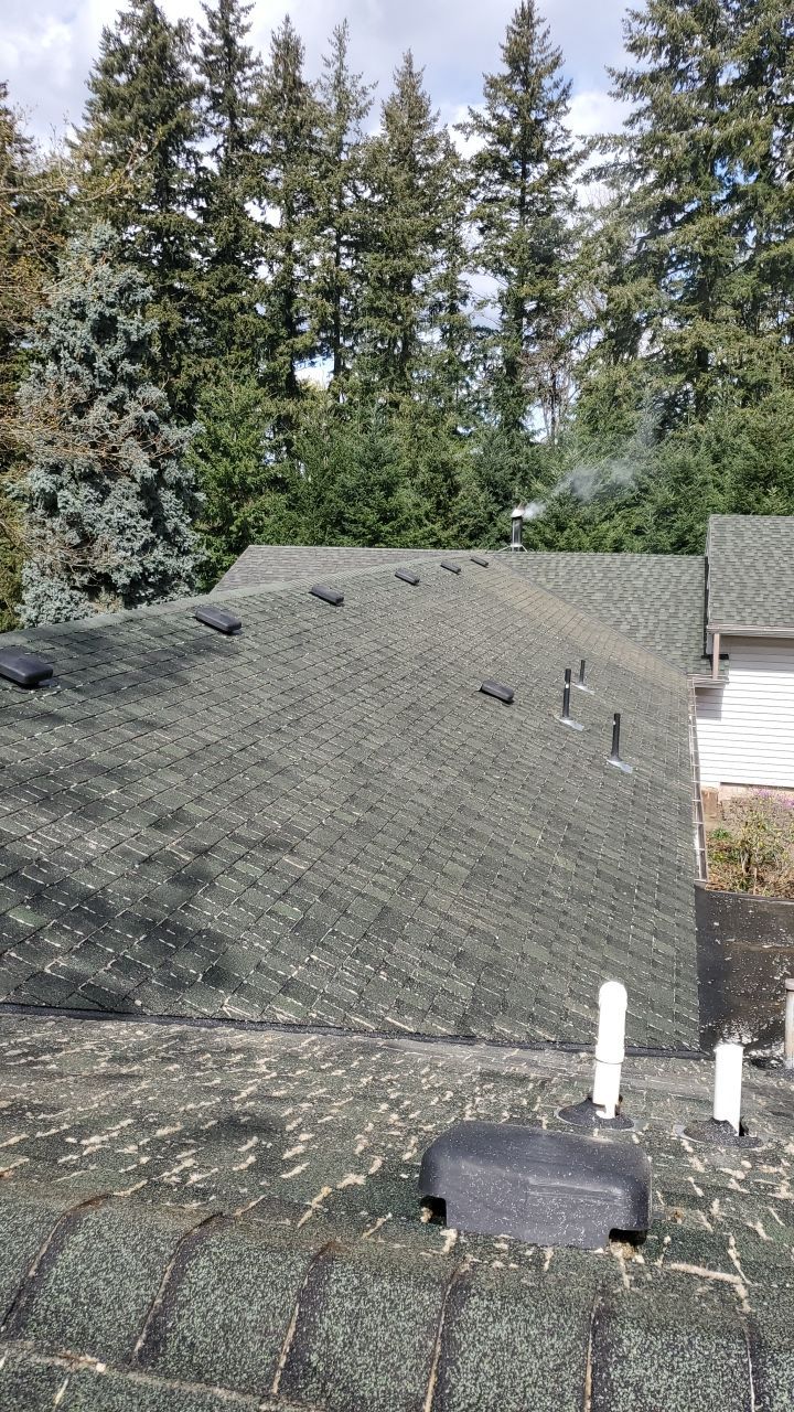 Roof Cleaning Moss Treatment by Willamette Outdoor Wash LLC