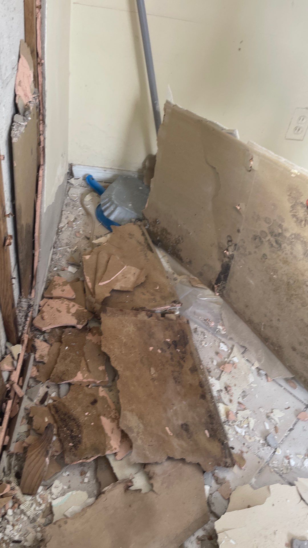 Mold Remediation  by THE RAPID TEAM