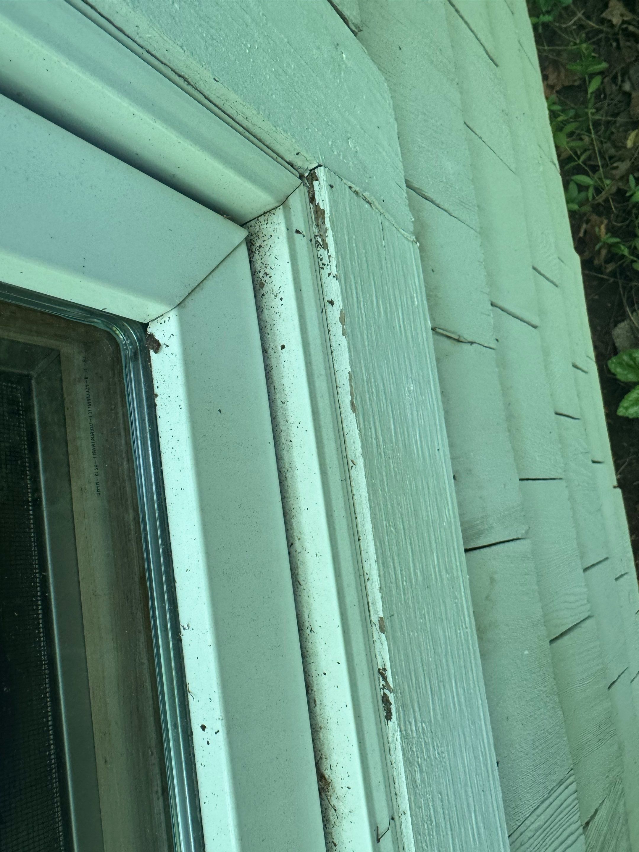 Lakefront Deck Pressure Washing, Exterior Wood Staining, and Painting in West Olive MI by Gordon Painting