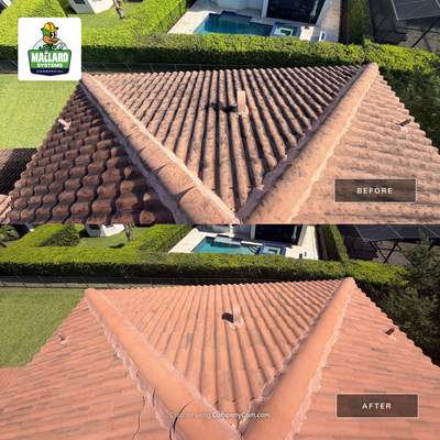 Barrel Tile Roof Cleaning Windermere
