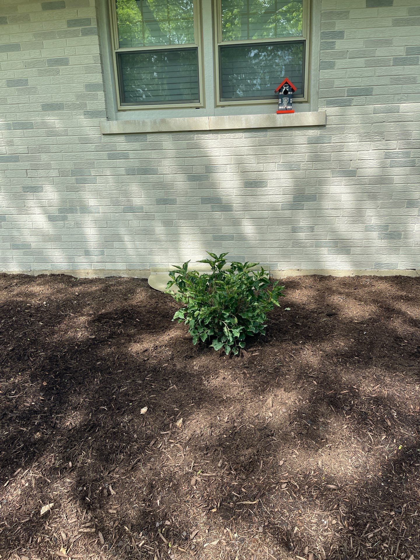 James F. - Arlington Heights, IL by A&N