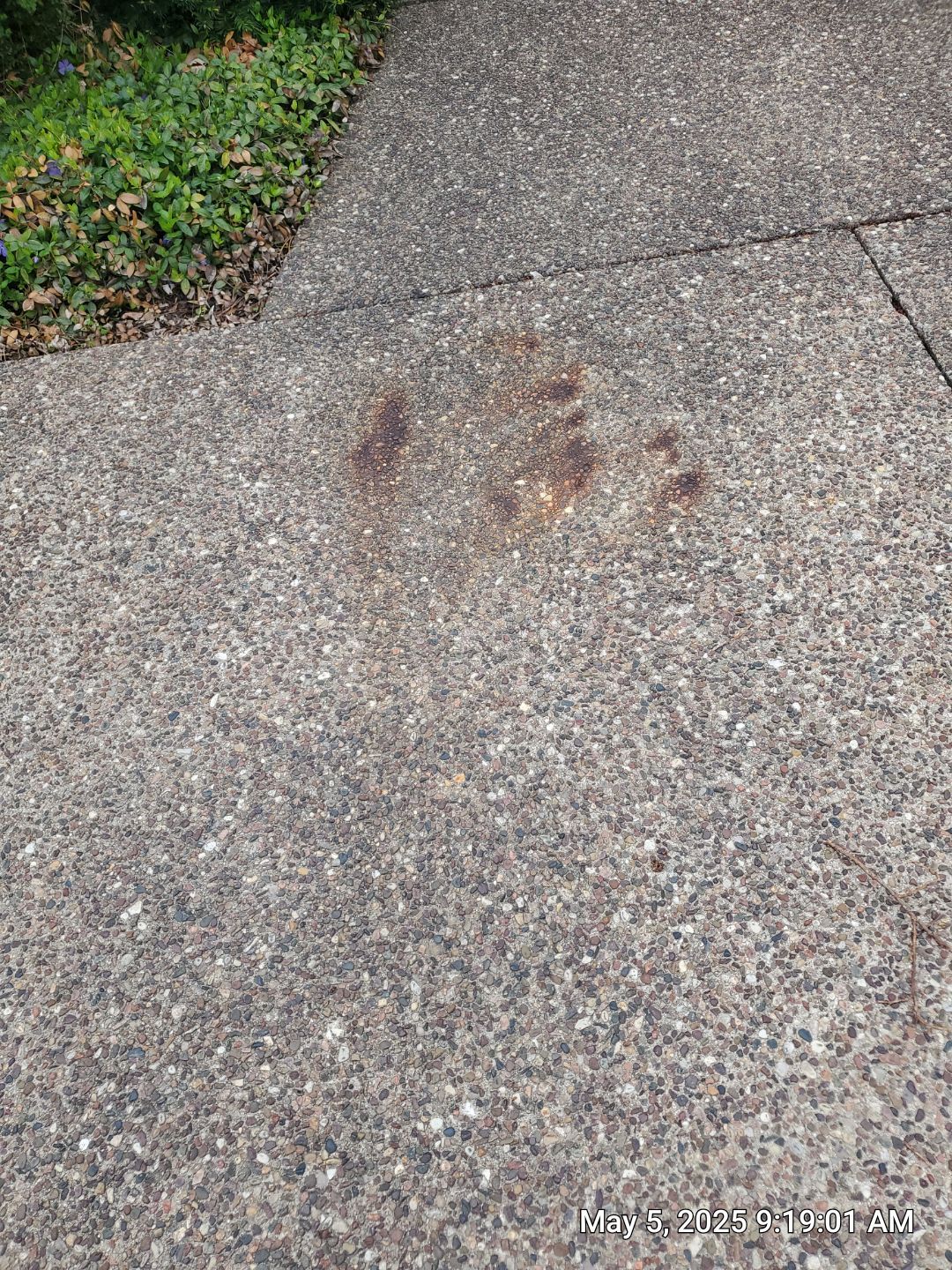 Concrete and Brick Paver Restoration Cleaning by Northern Power Washing LLC.