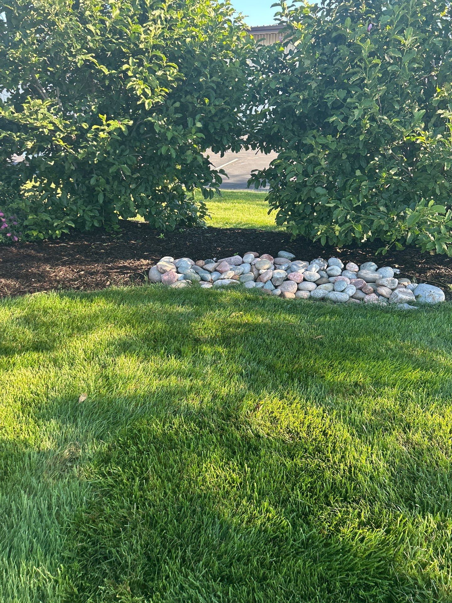 Custom Lawn QC visit  by Custom Lawn And Landscape