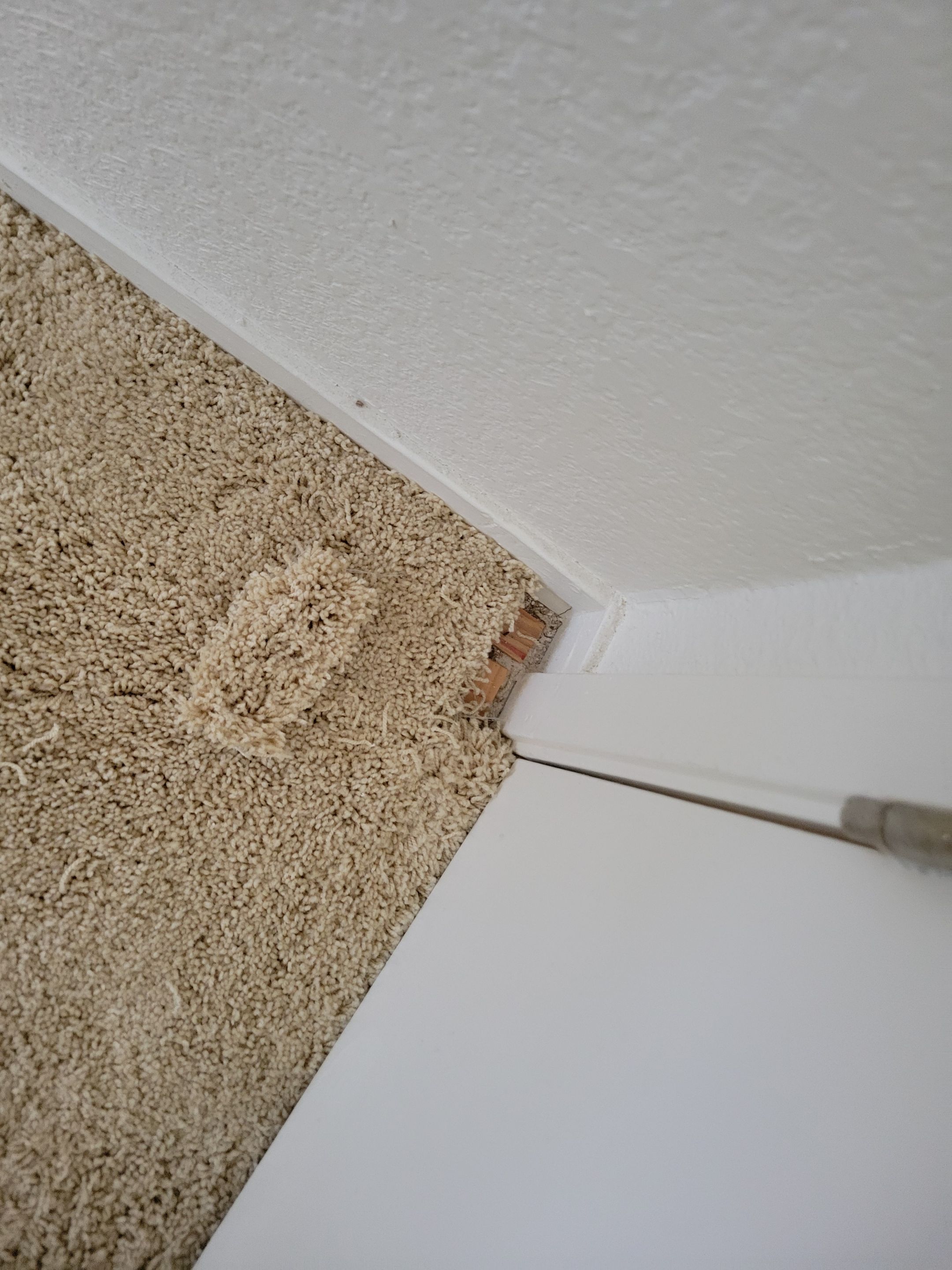 Carpet Re-stretching and Cleaning by Ardent Carpet Restore LLC