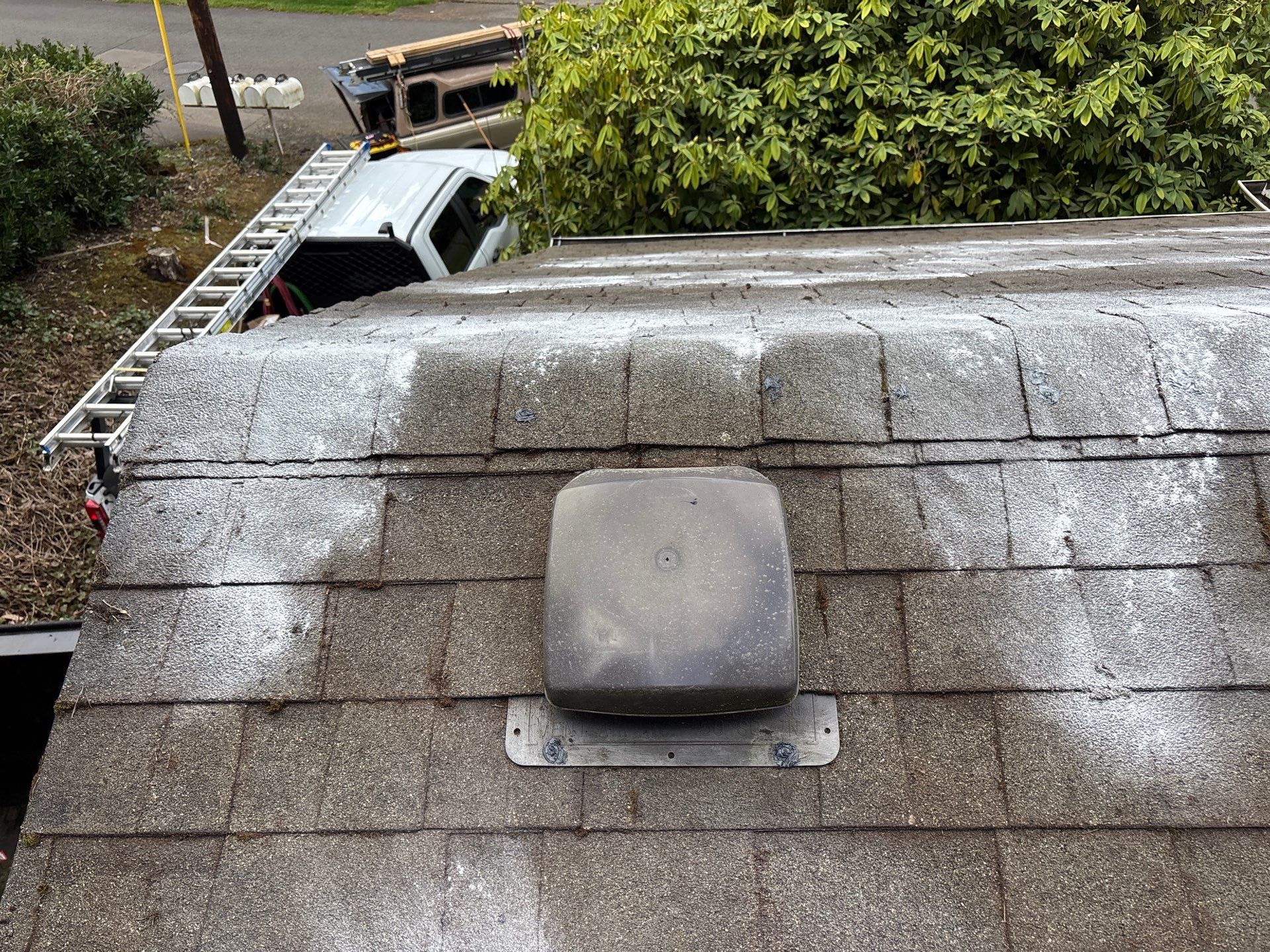 Roof Maintenance in West Linn by Prodigy Roof Solutions