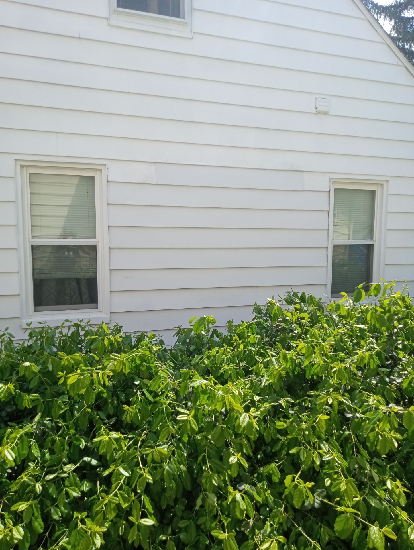 Josh Tyburski by Silver Leaf Contracting 