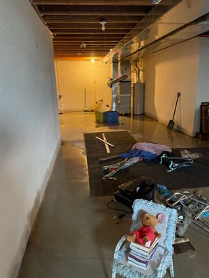 Project in Novi